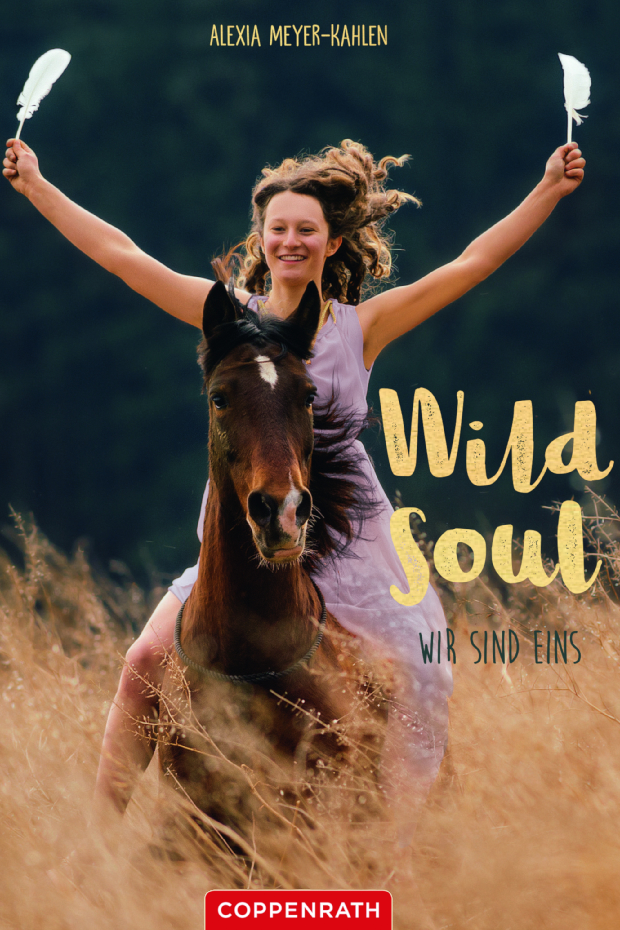 Обложка книги «Wild soul»