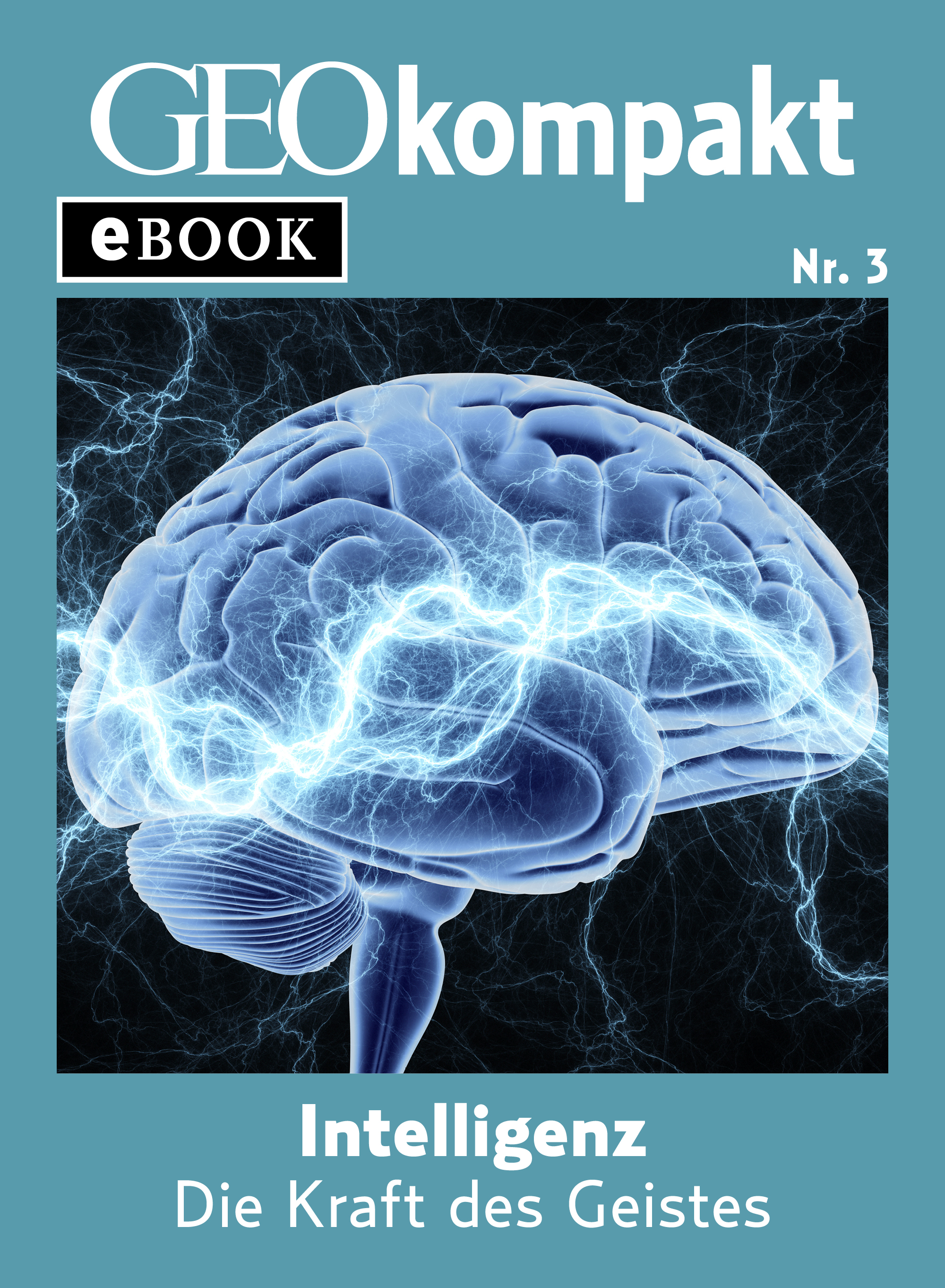 Обложка книги «Intelligenz: Die Kraft des Geistes (GEOkompakt eBook)»