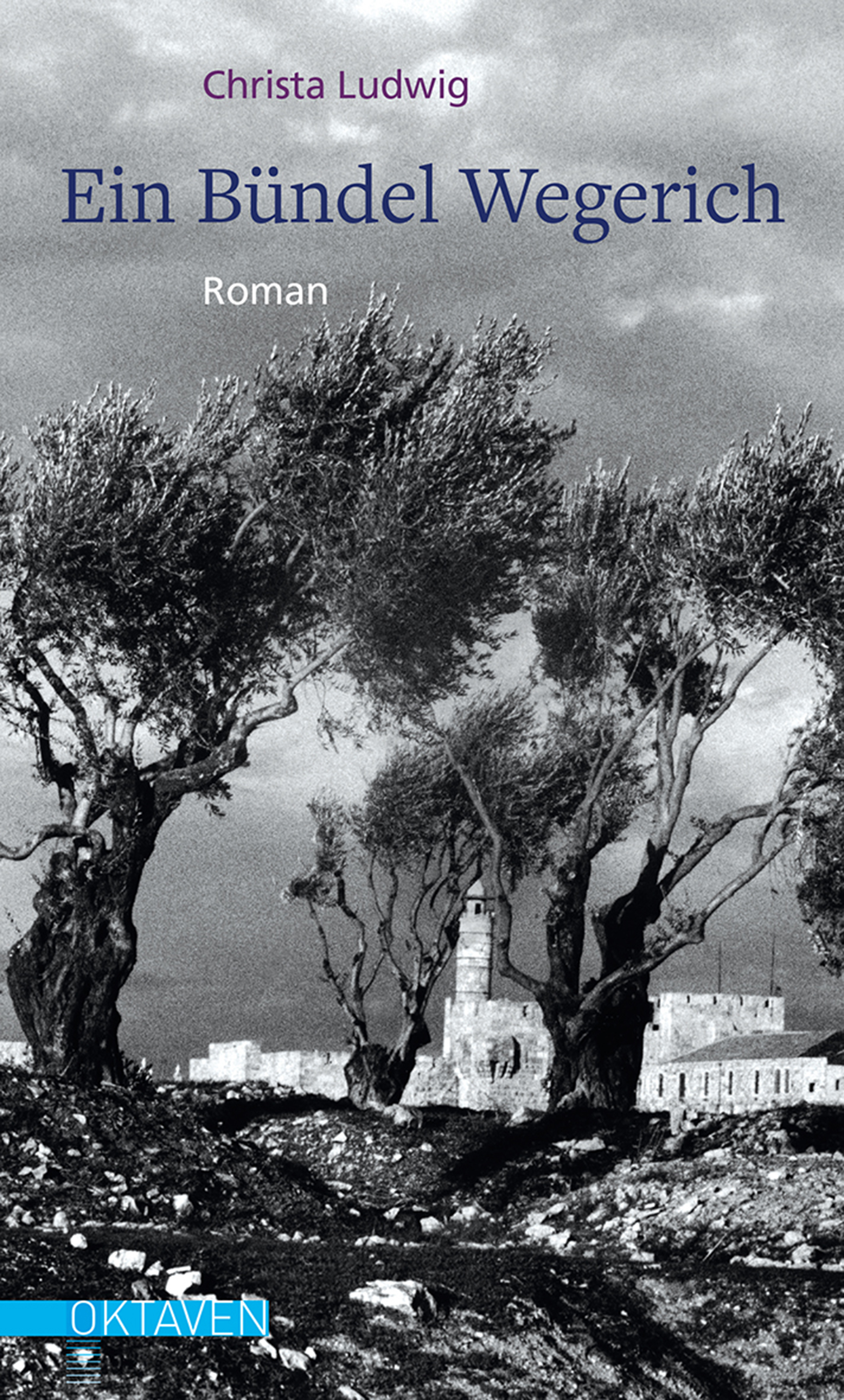 Обложка книги «Ein Bündel Wegerich»