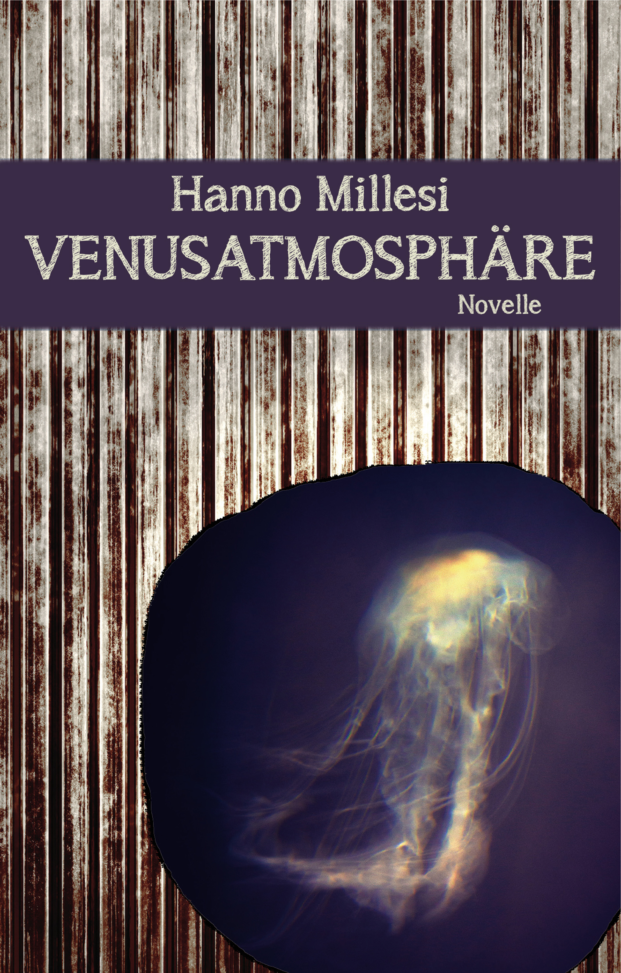 Обложка книги «Venusatmosphäre»