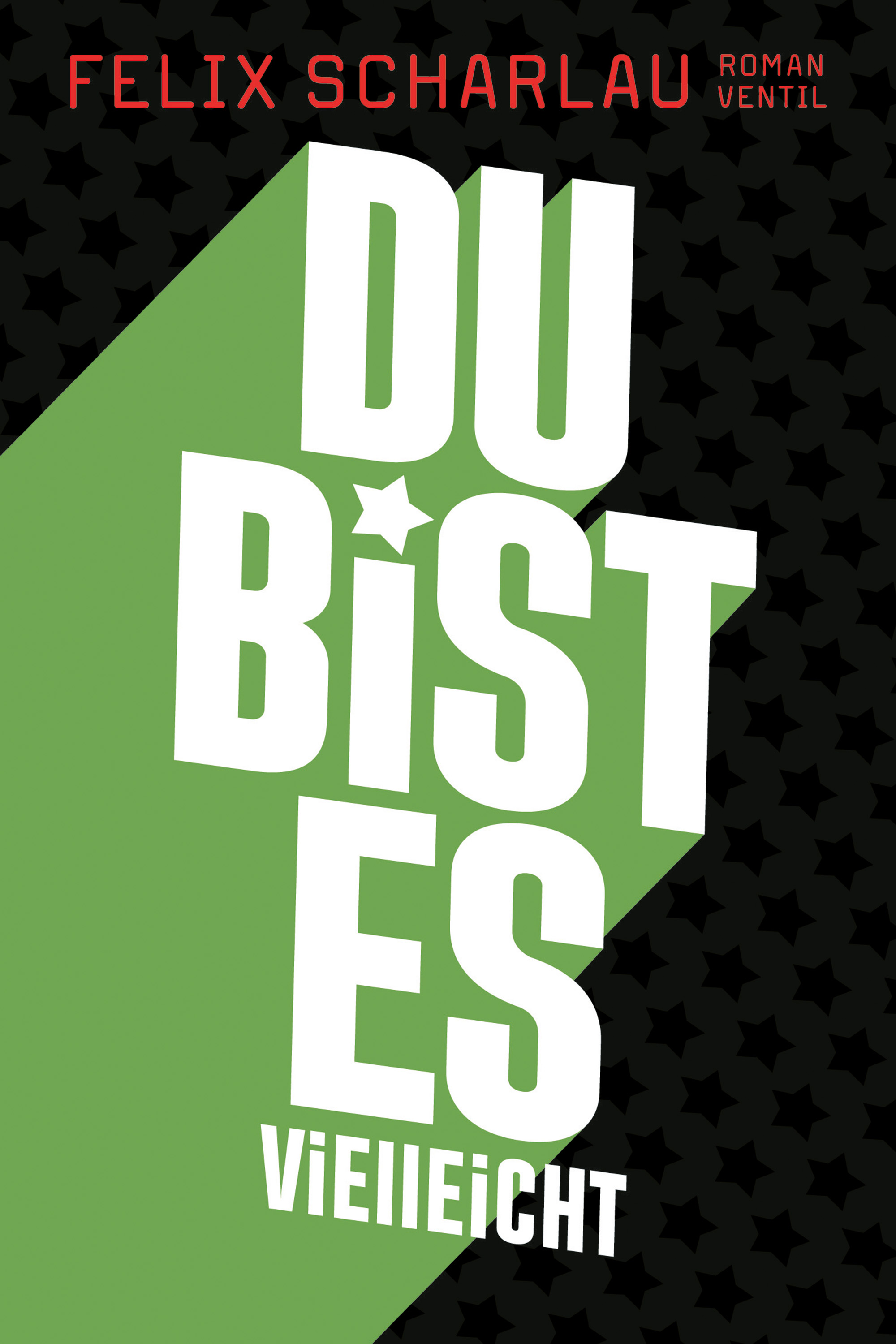 Обложка книги «Du bist es vielleicht»