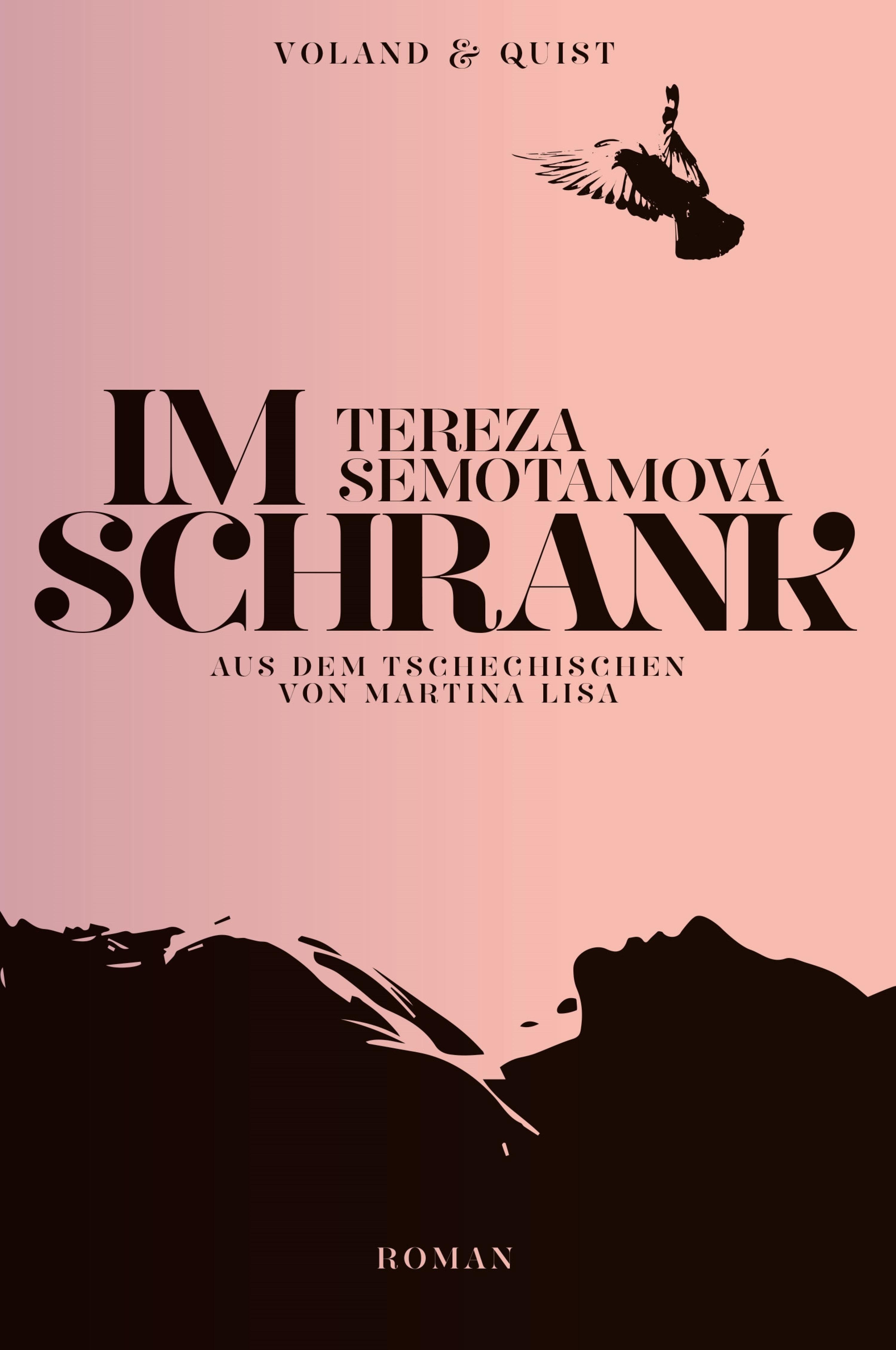 Обложка книги «Im Schrank»