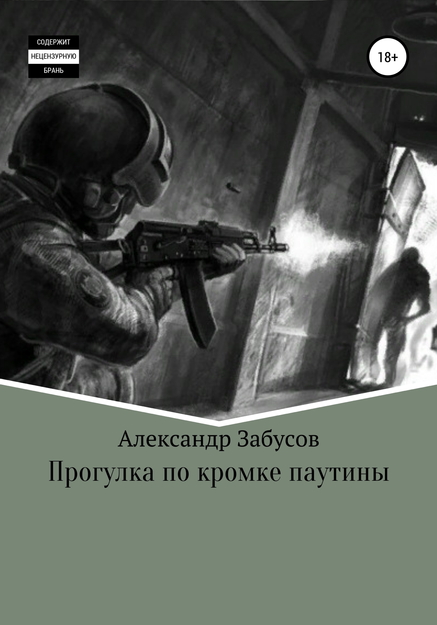 Обложка книги «Прогулка по кромке паутины»