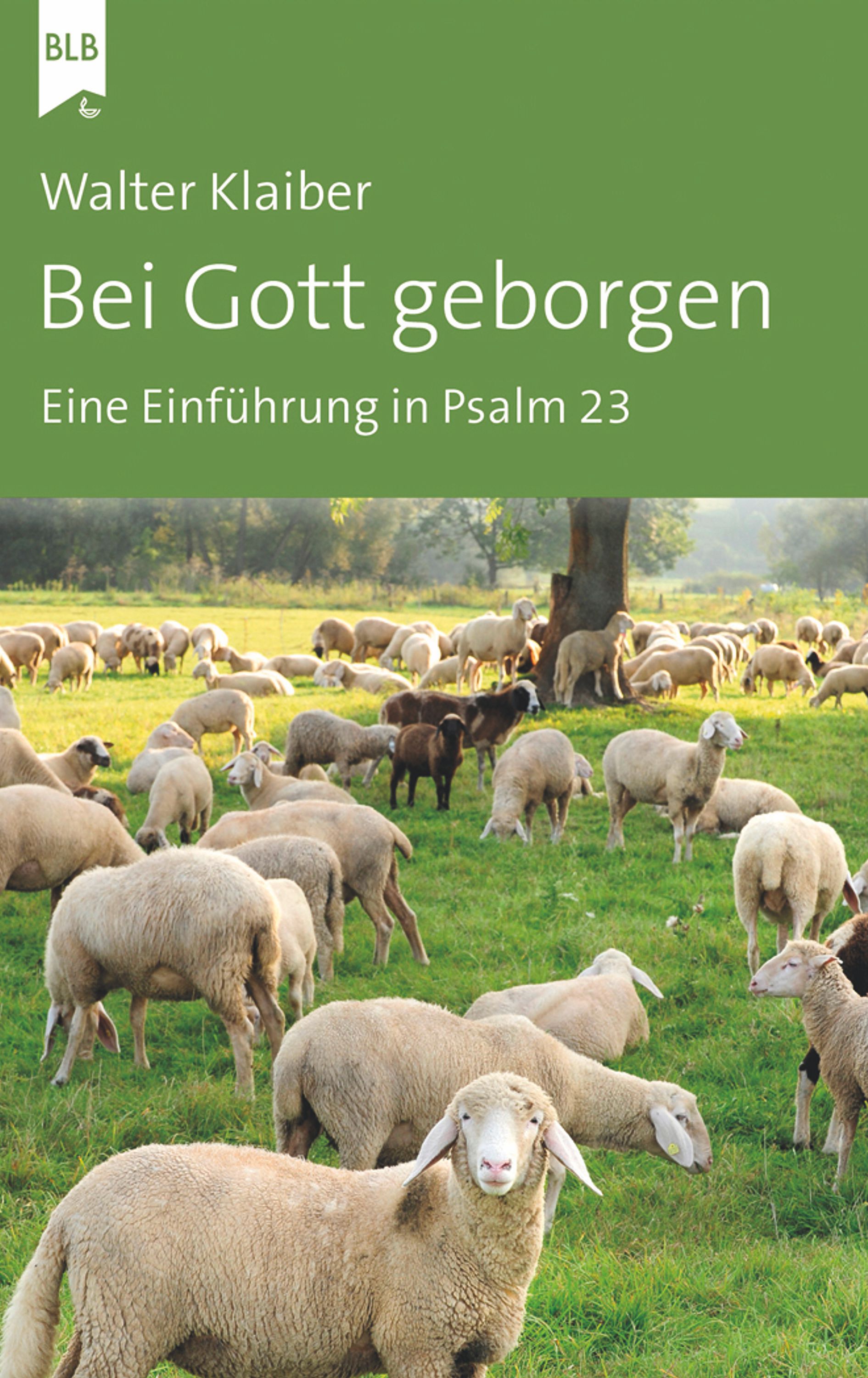 Обложка книги «Bei Gott geborgen»