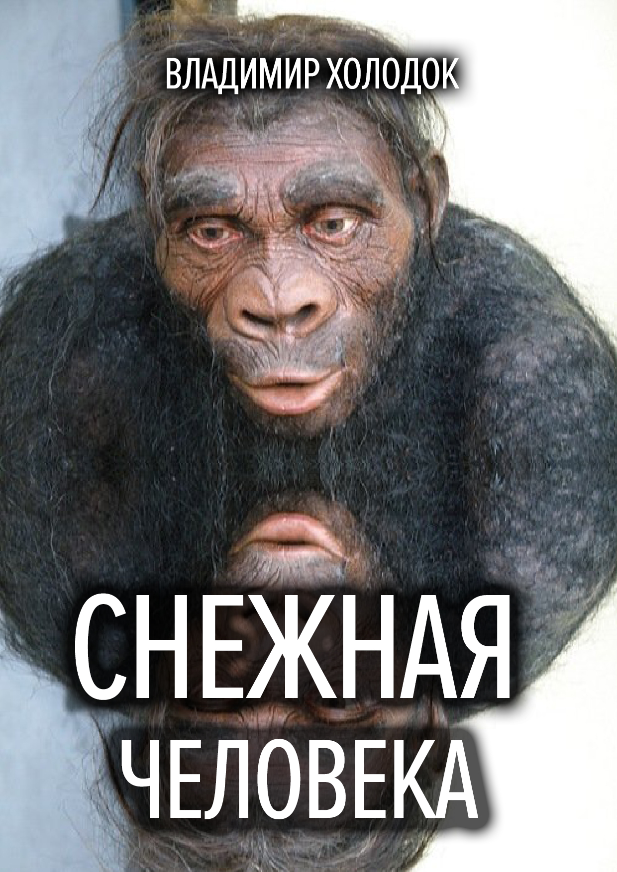 Обложка книги «Снежная человека»