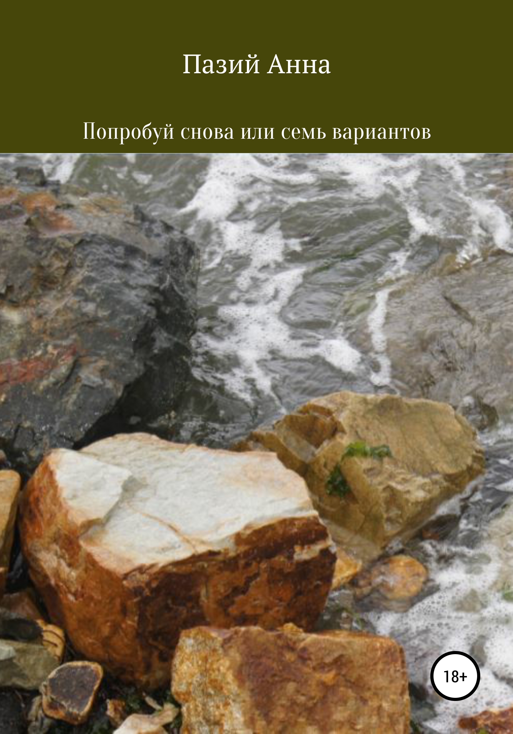 Обложка книги «Попробуй снова или семь вариантов»