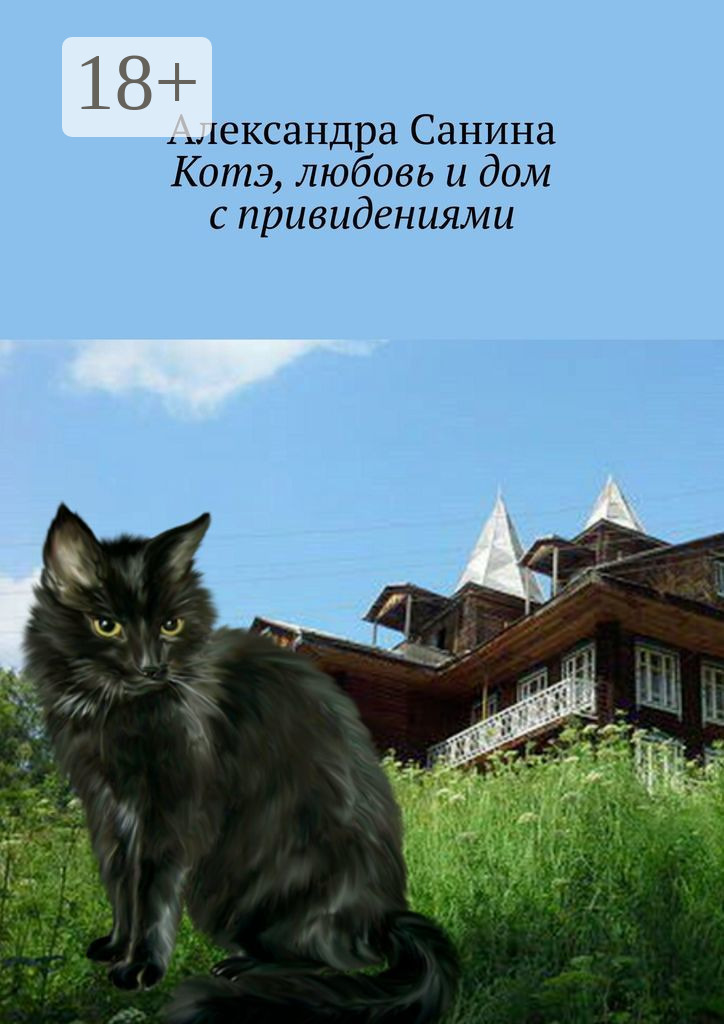 Обложка книги «Котэ, любовь и дом с привидениями»