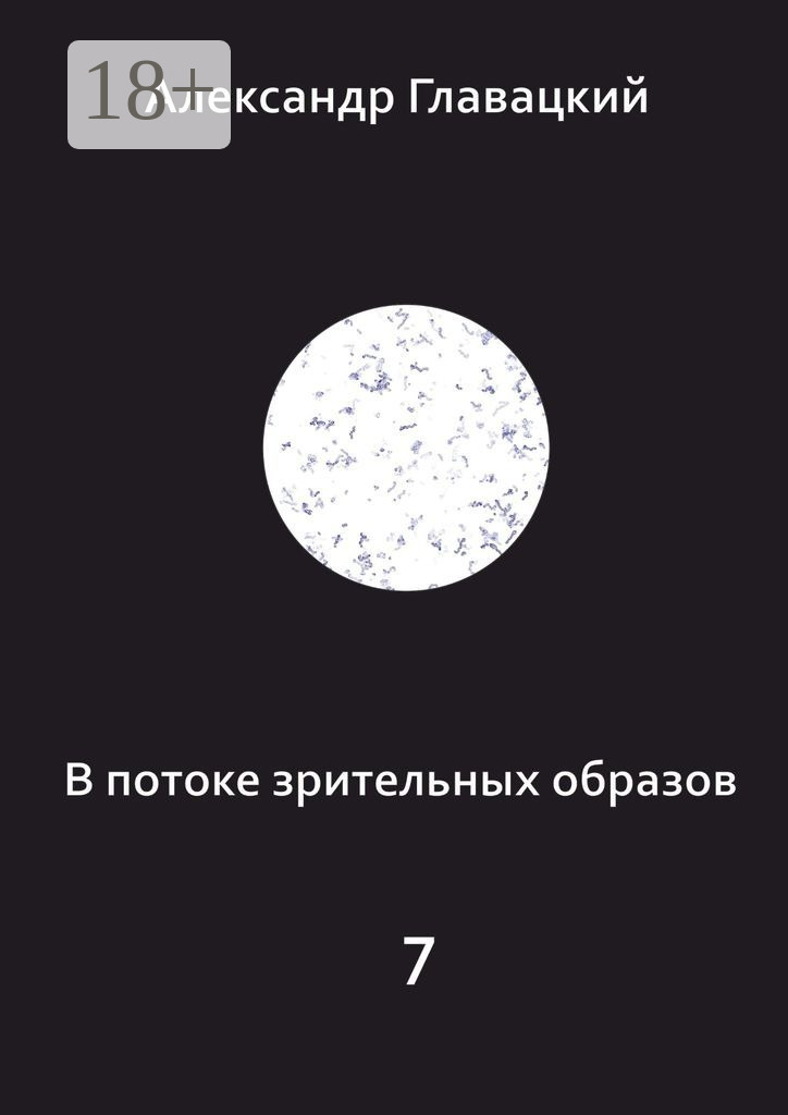 Обложка книги «В потоке зрительных образов – 7»
