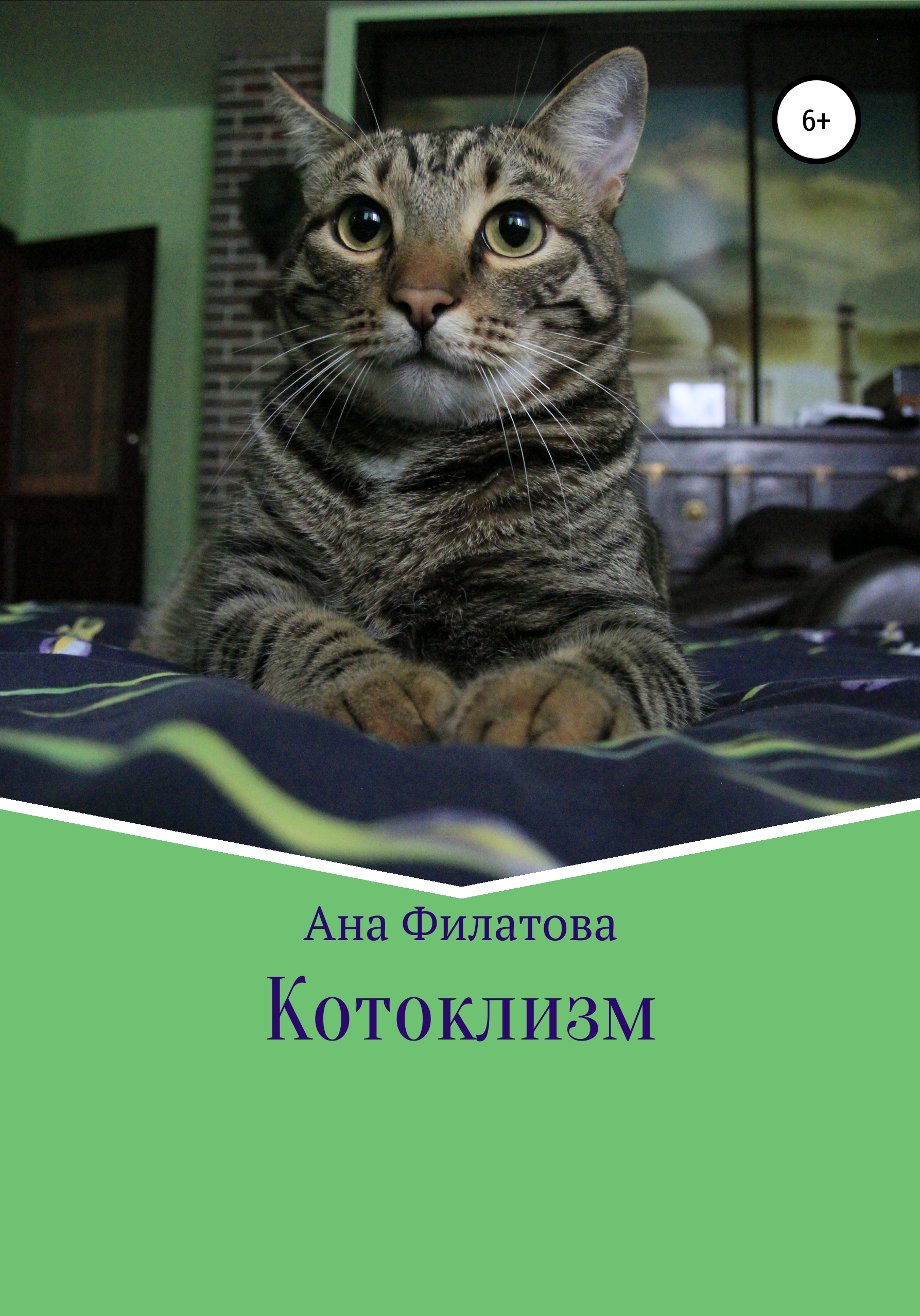 Обложка книги «Котоклизм»