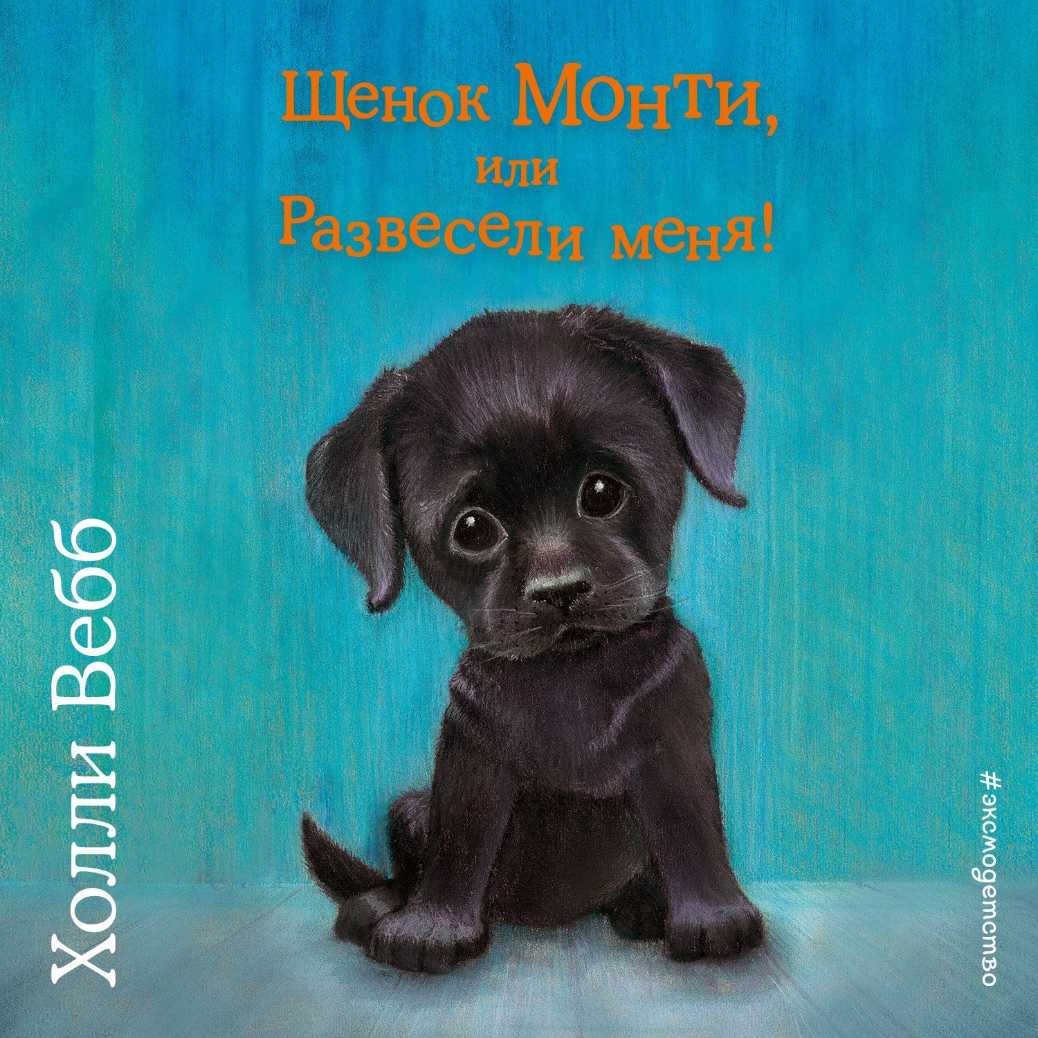 Обложка книги «Щенок Монти, или Развесели меня!»