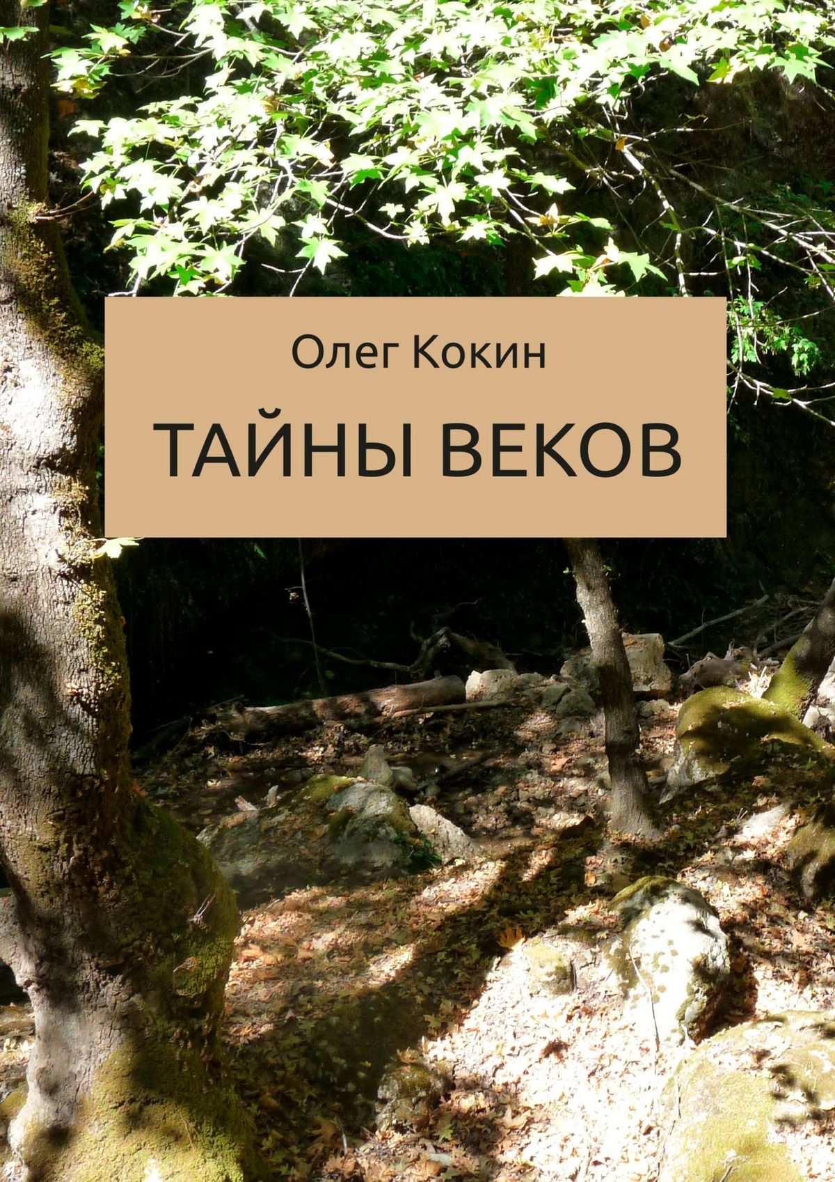 Обложка книги «Тайны веков. Сказка»
