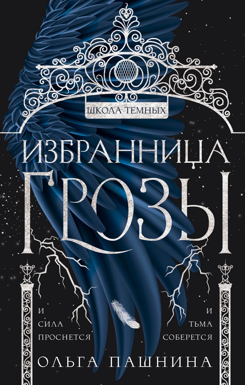 Обложка книги «Школа темных. Избранница грозы»