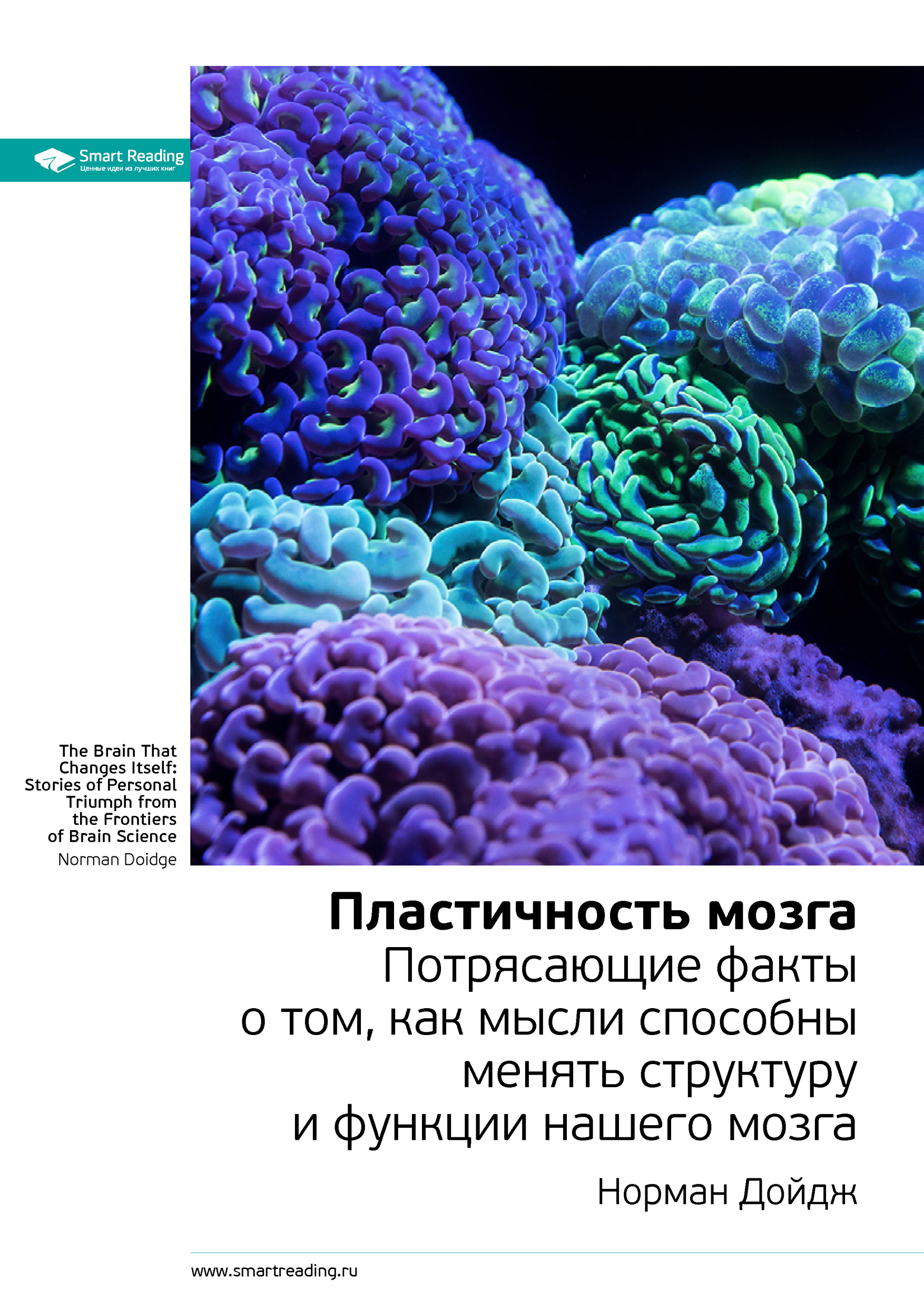 Обложка книги «Ключевые идеи книги: Пластичность мозга. Потрясающие факты о том, как мысли способны менять структуру и функции нашего мозга. Норман Дойдж»