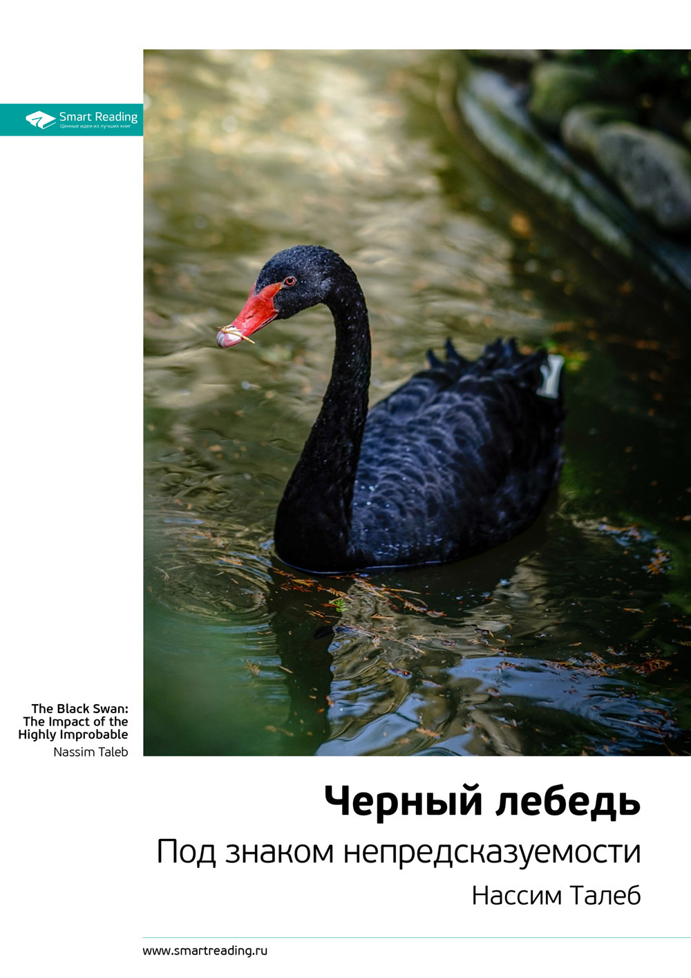 Обложка книги «Ключевые идеи книги: Черный лебедь. Под знаком непредсказуемости. Нассим Талеб»