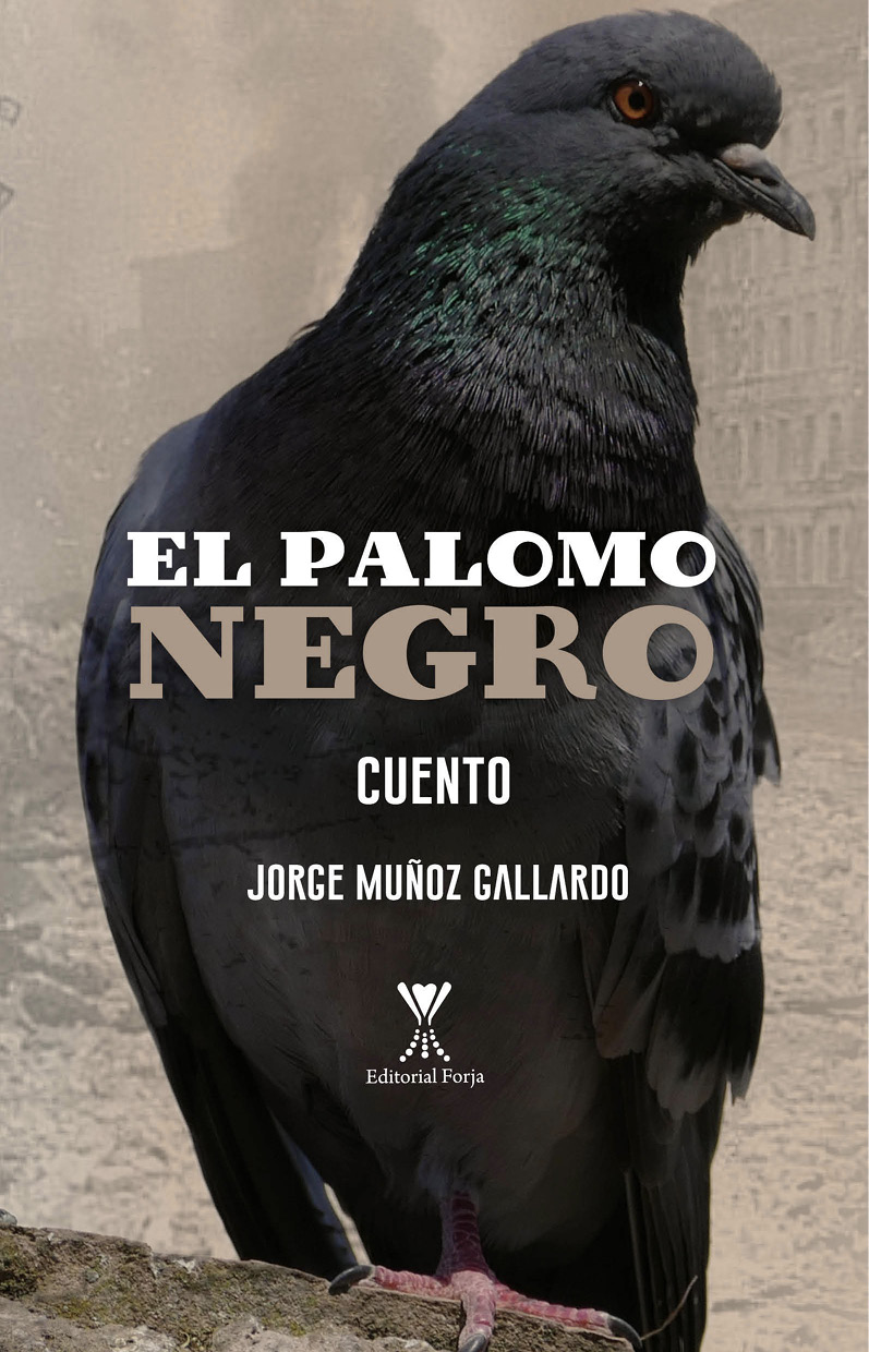 Обложка книги «El palomo negro»