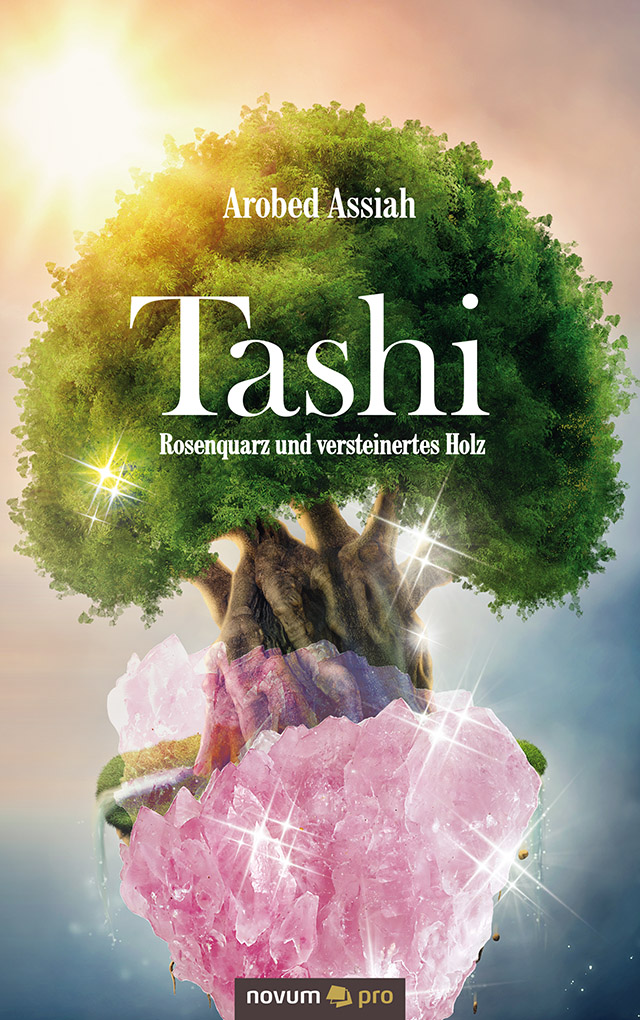 Обложка книги «Tashi»