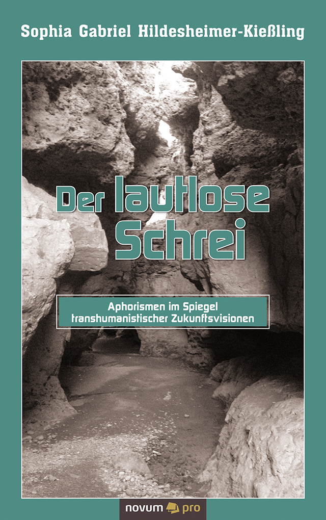 Обложка книги «Der lautlose Schrei»