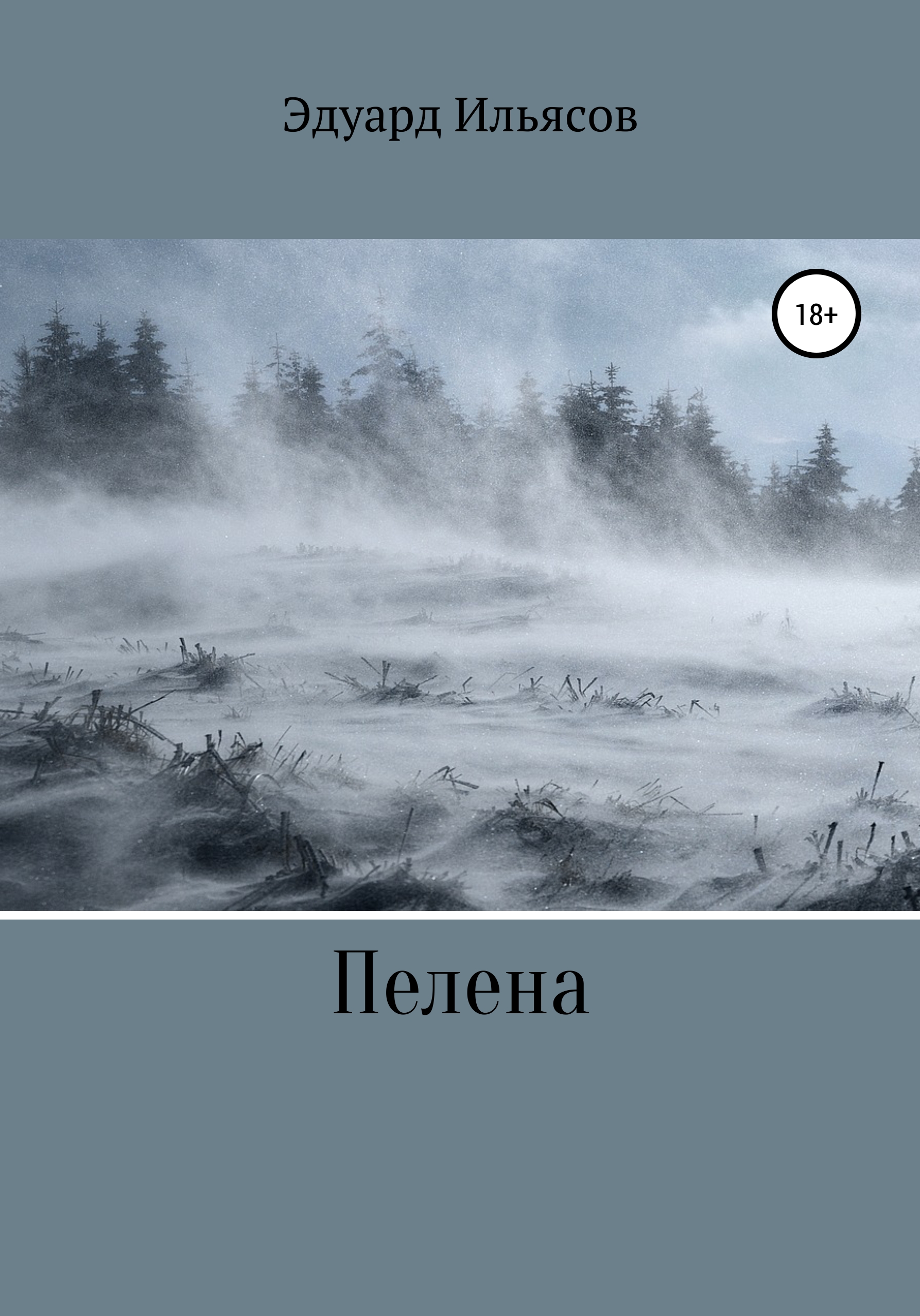 Обложка книги «Пелена»