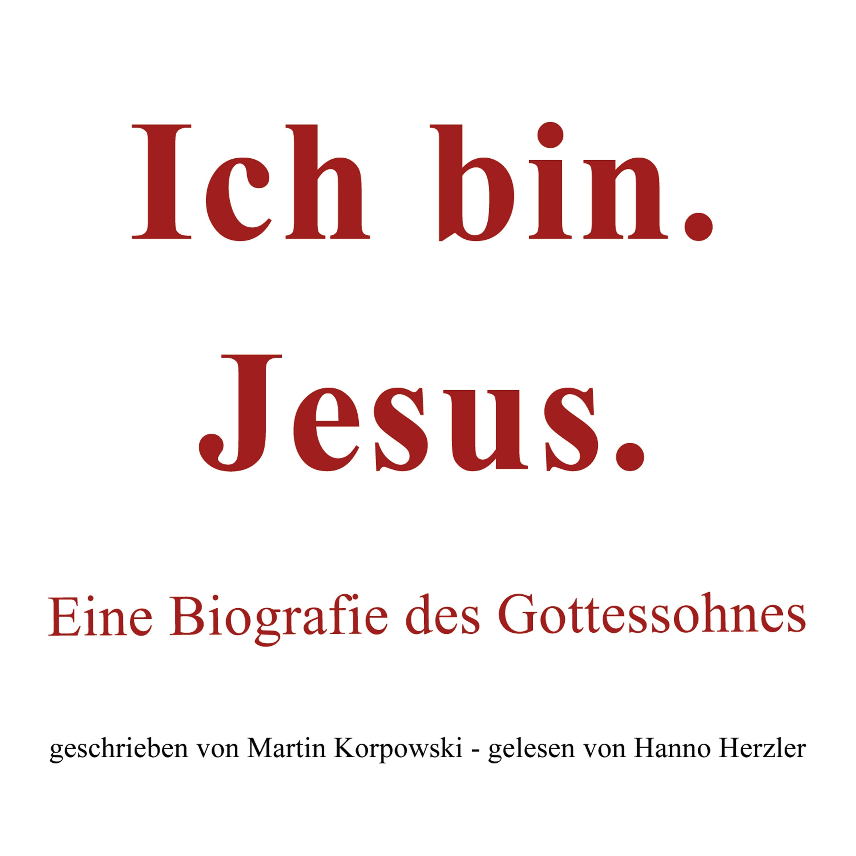 Обложка книги «Ich bin. Jesus.»