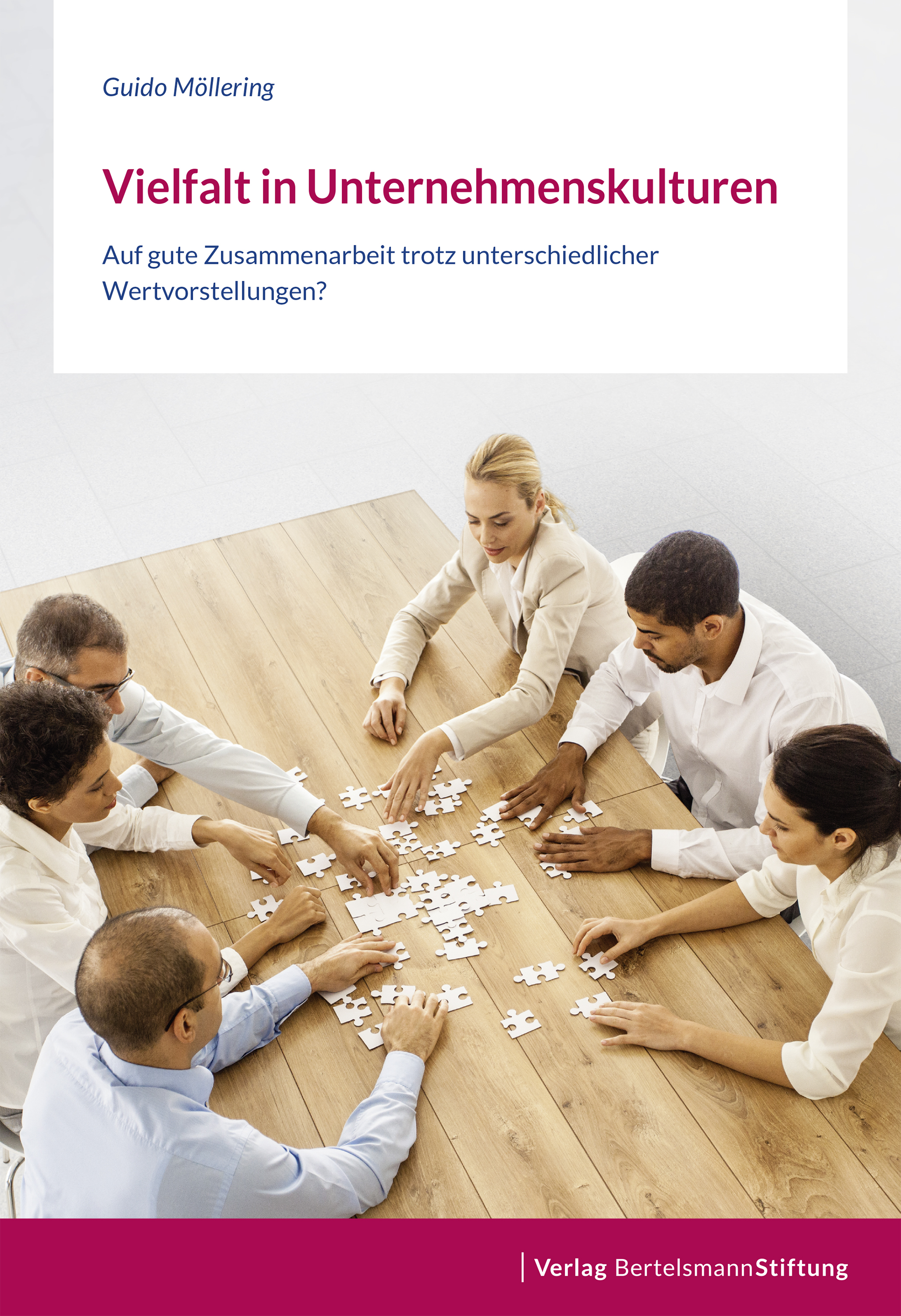 Обложка книги «Vielfalt in Unternehmenskulturen»