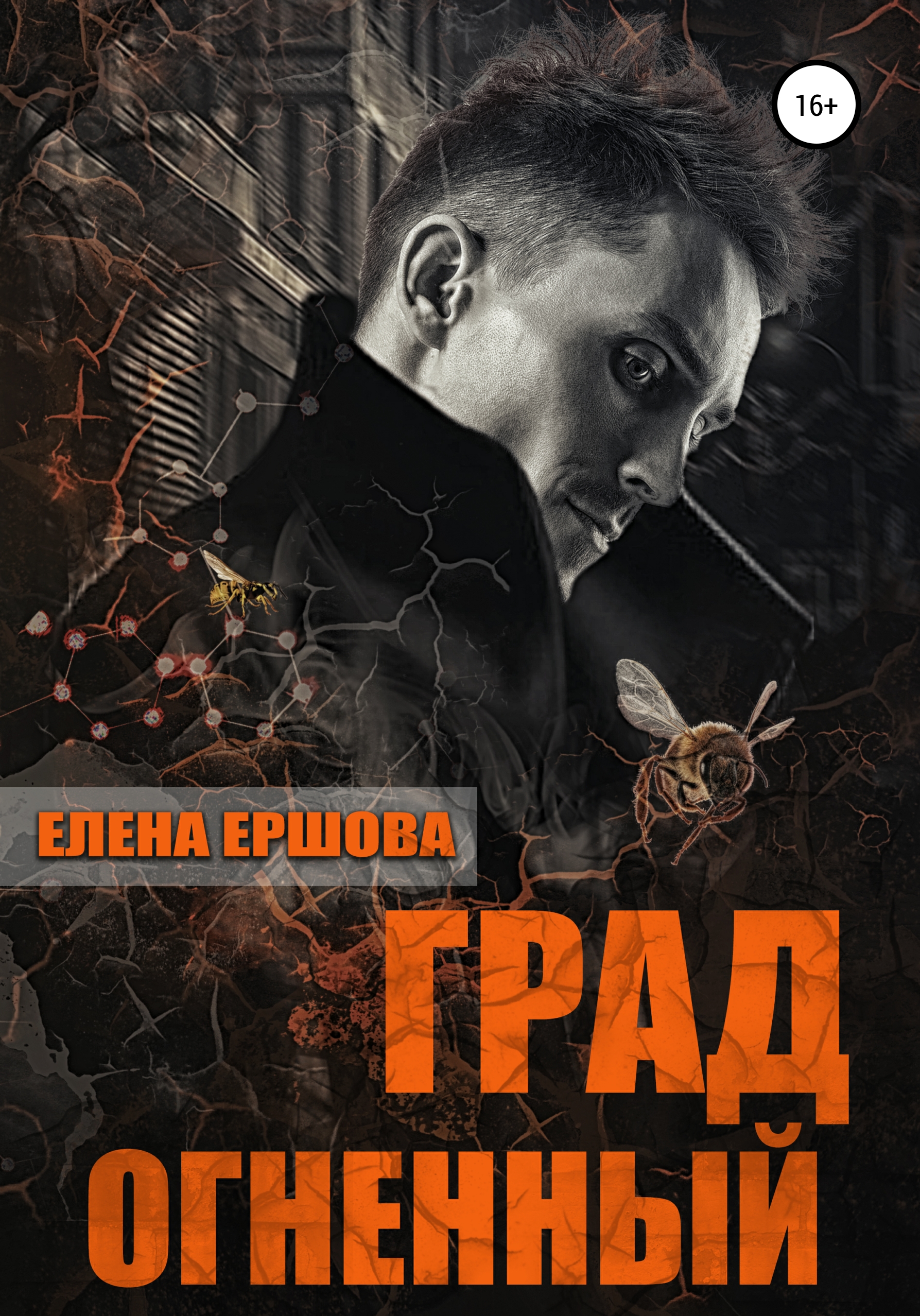 Обложка книги «Град огненный»