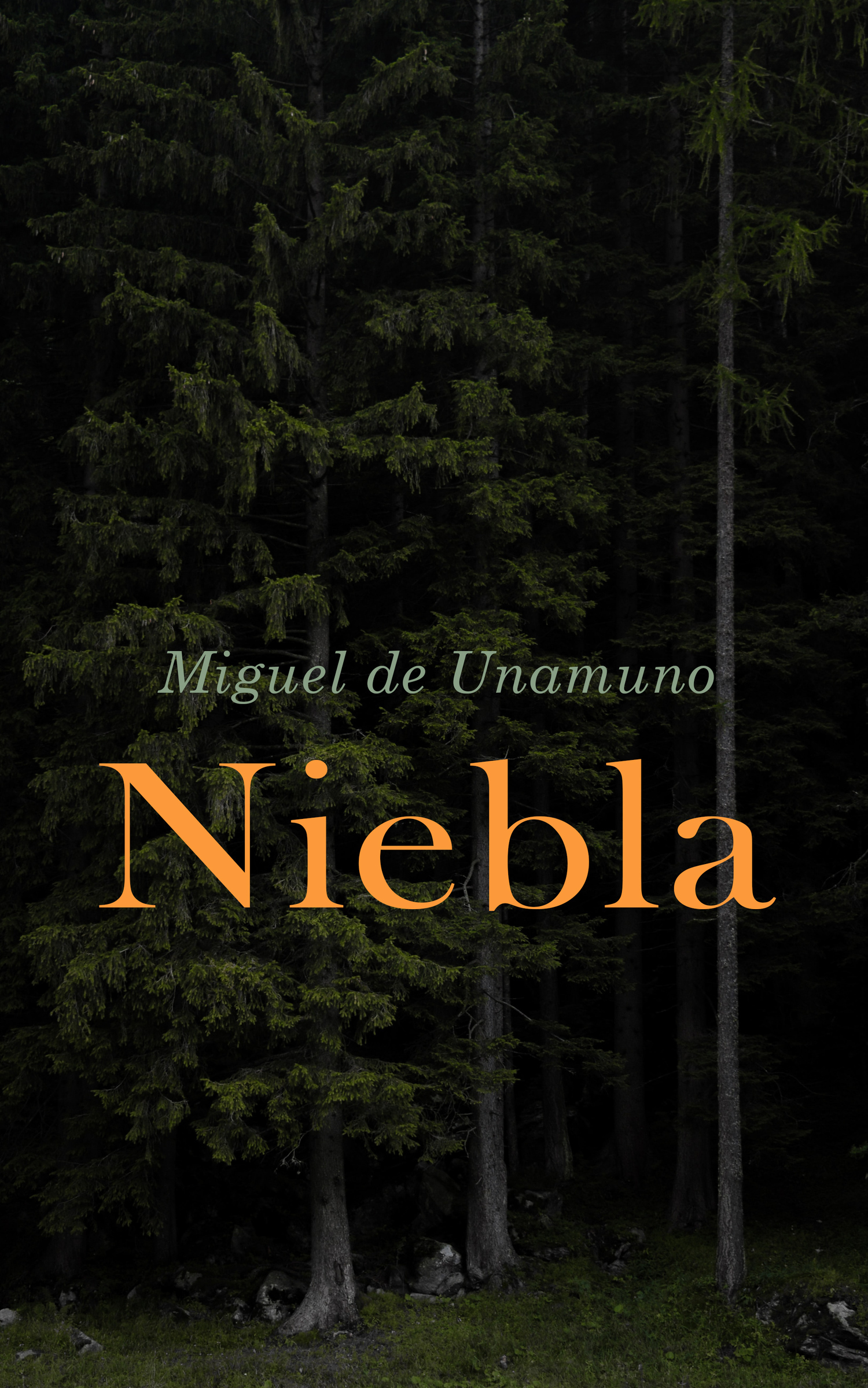 Обложка книги «Niebla (Nivola)»