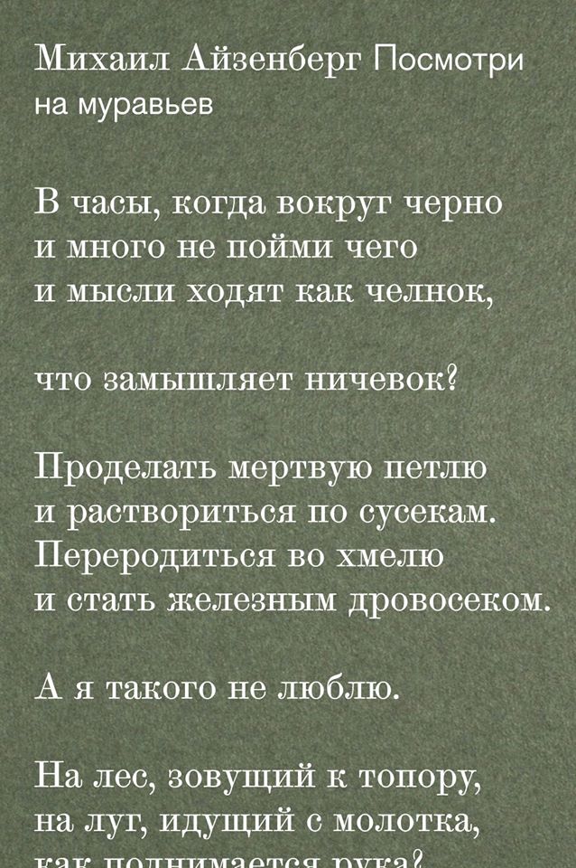 Обложка книги «Посмотри на муравьев»