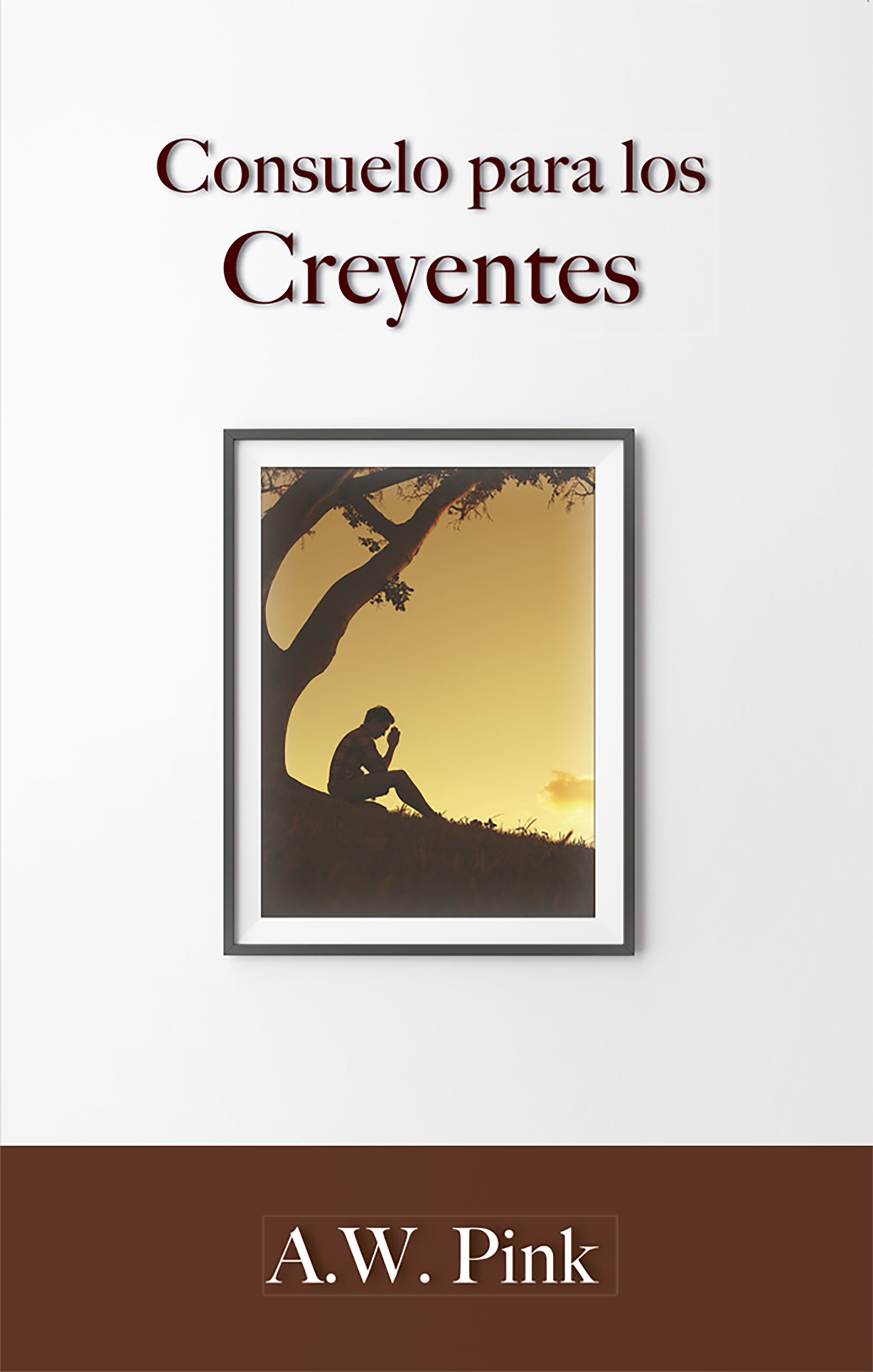 Обложка книги «Consuelo para los creyentes»