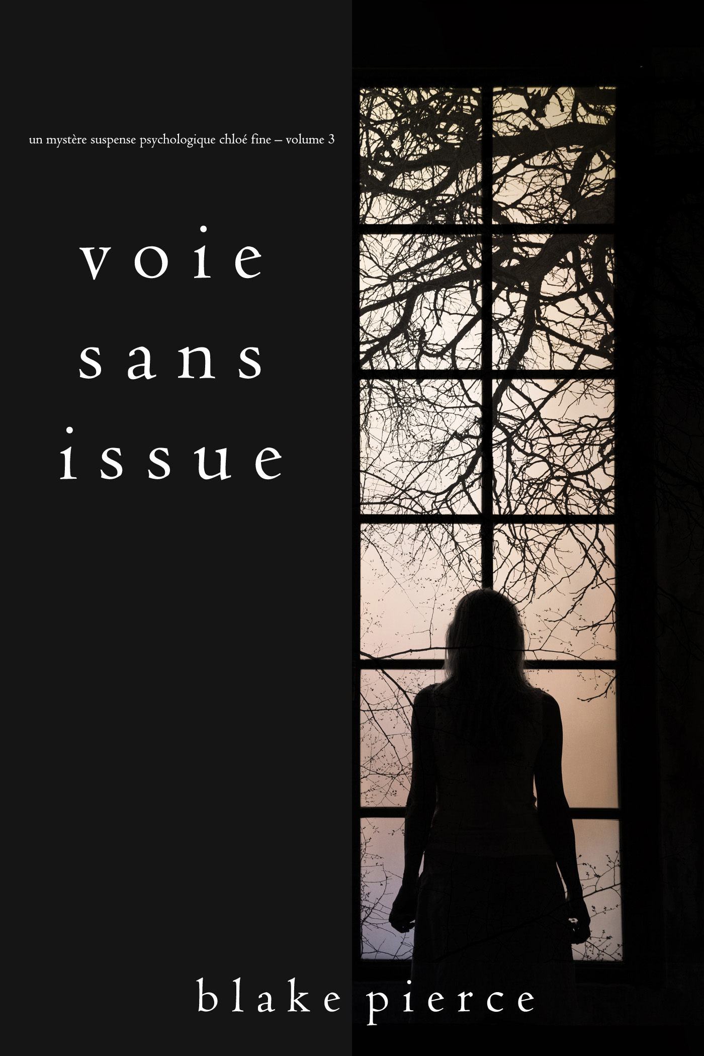 Обложка книги «Voie sans issue»