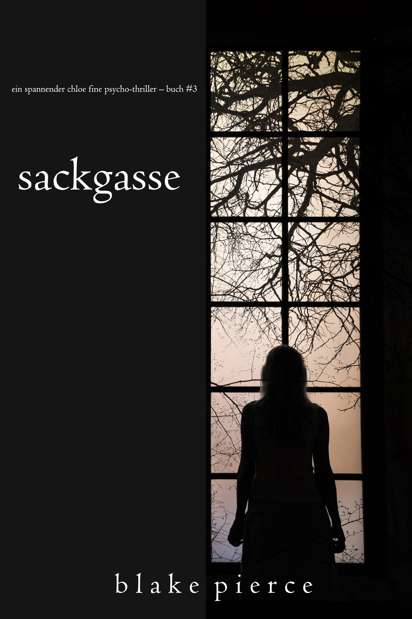 Обложка книги «Sackgasse»