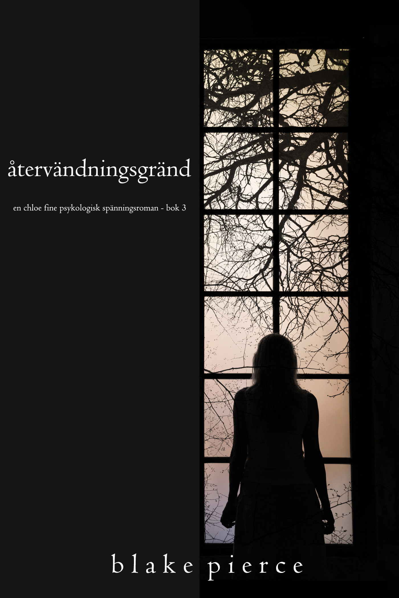 Обложка книги «Återvändningsgränd»