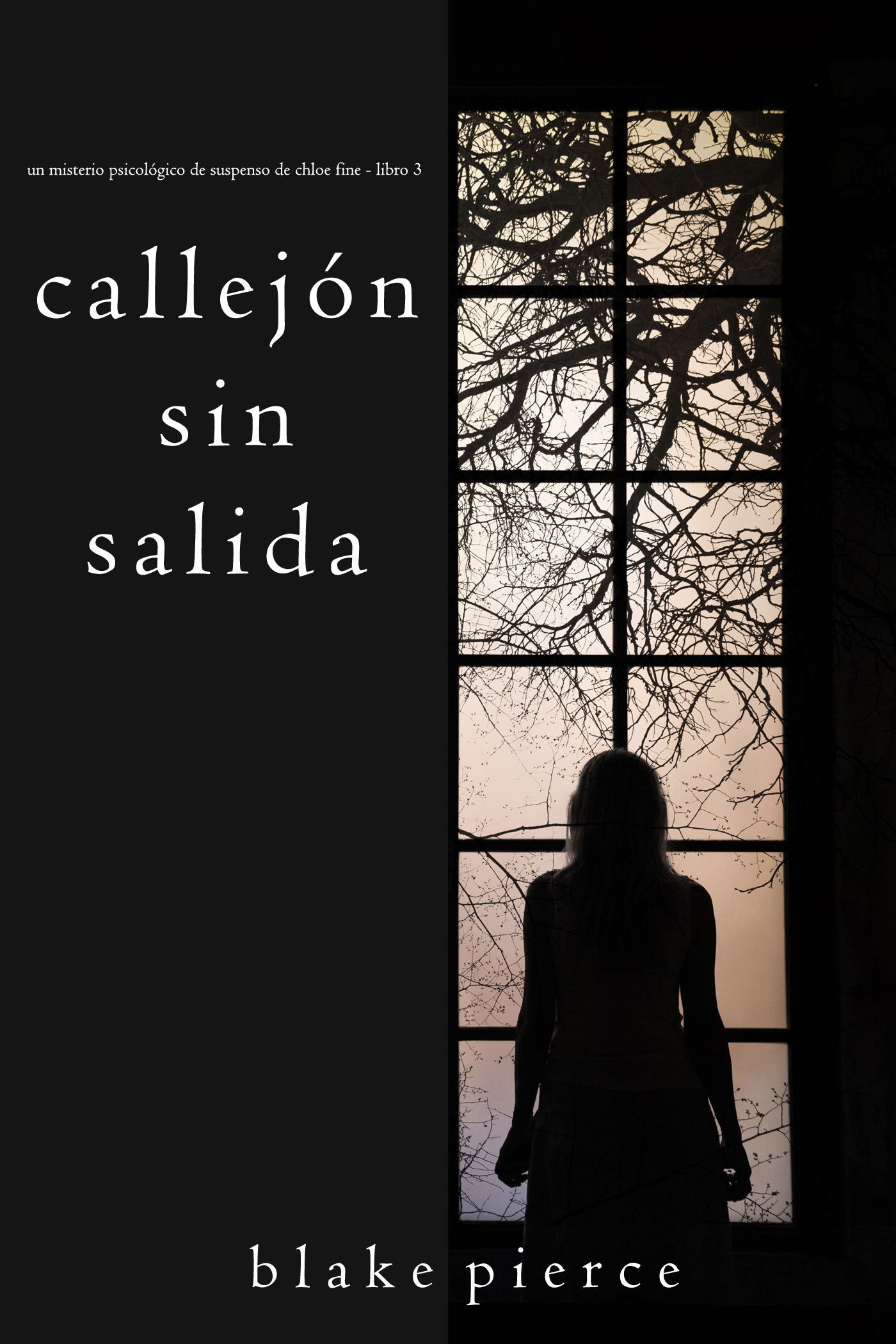 Обложка книги «Callejón Sin Salida»