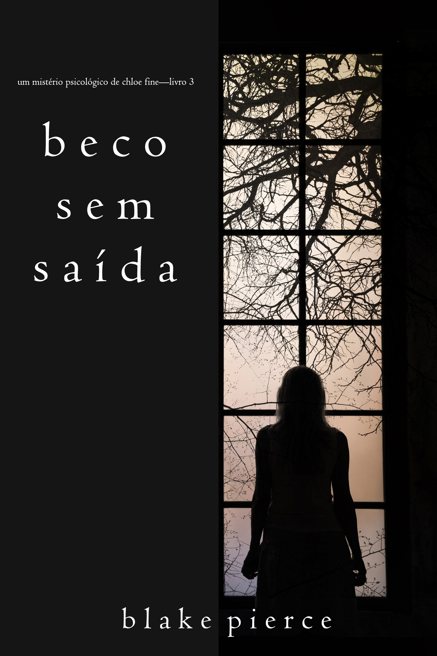 Обложка книги «Beco Sem Saída»