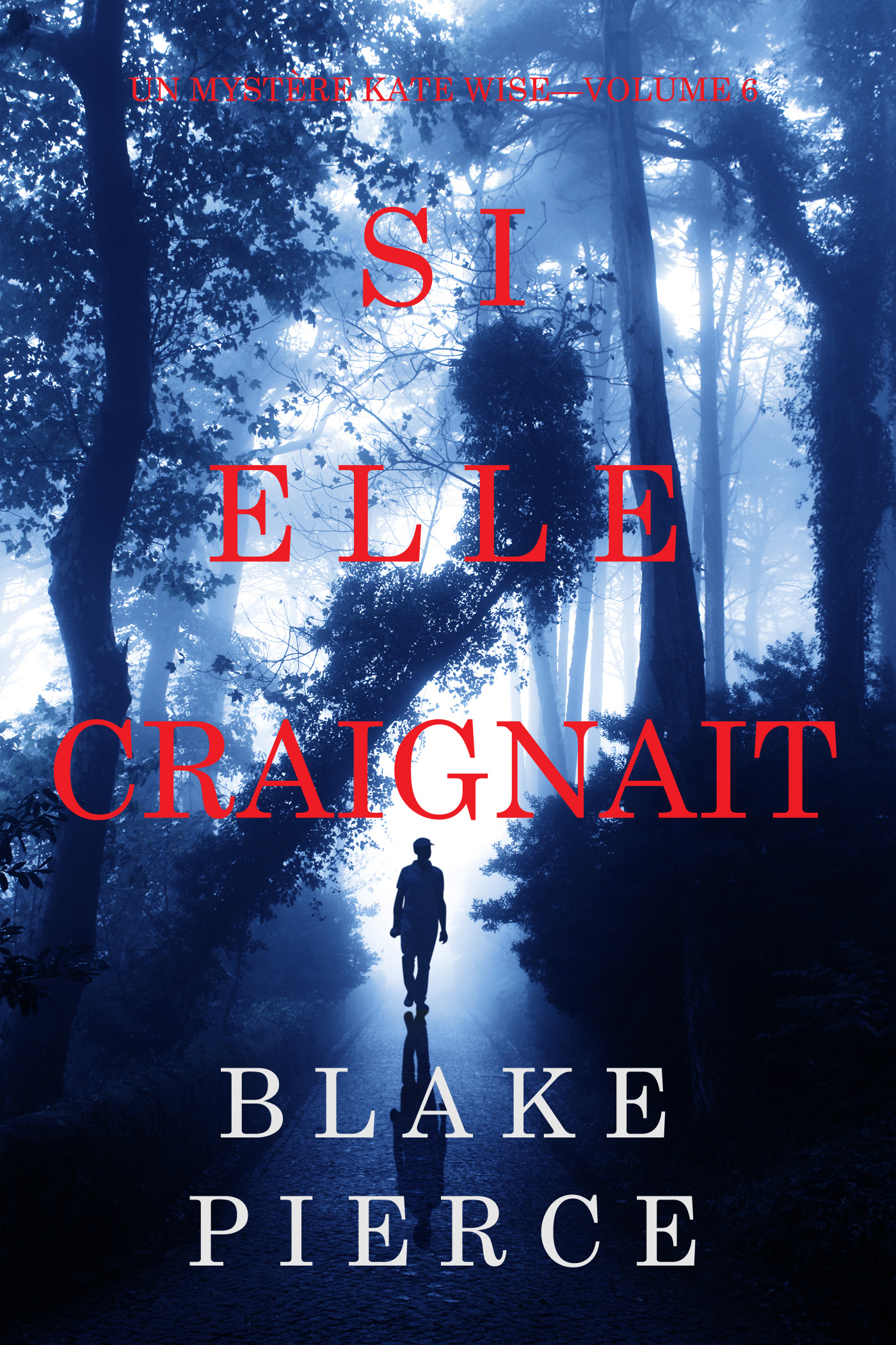 Обложка книги «Si elle craignait»