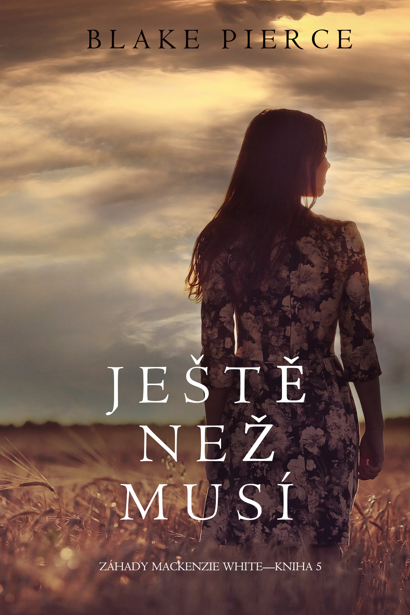 Обложка книги «Ještě než musí»