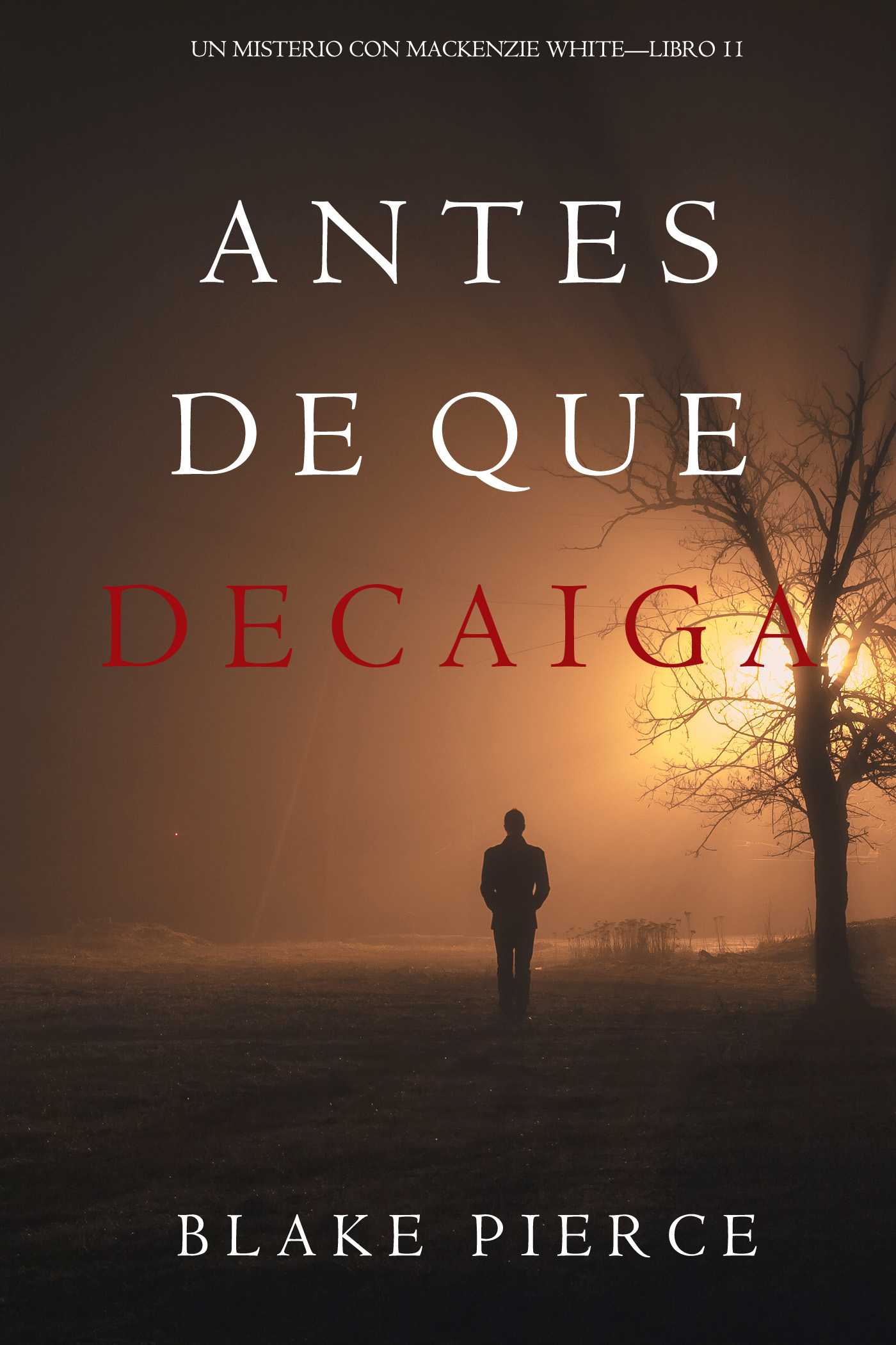 Обложка книги «Antes De Que Decaiga»