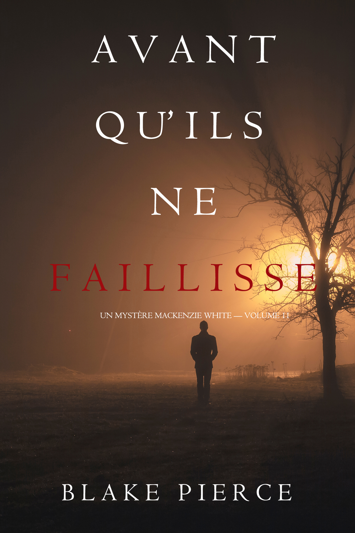 Обложка книги «Avant Qu’il Ne Faillisse»