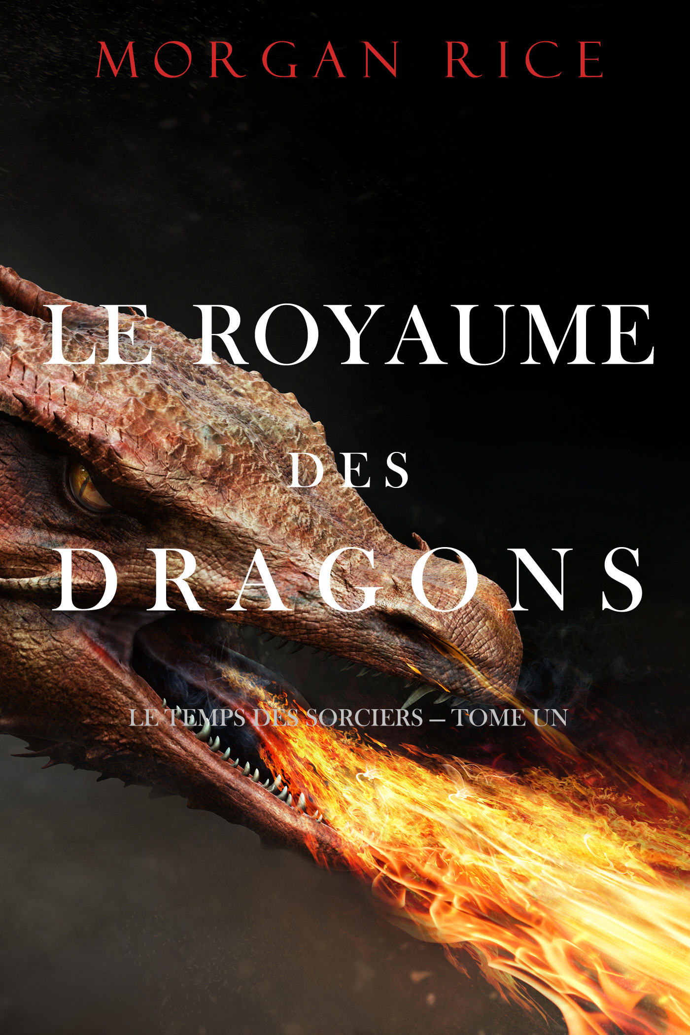 Обложка книги «Le Royaume des Dragons»
