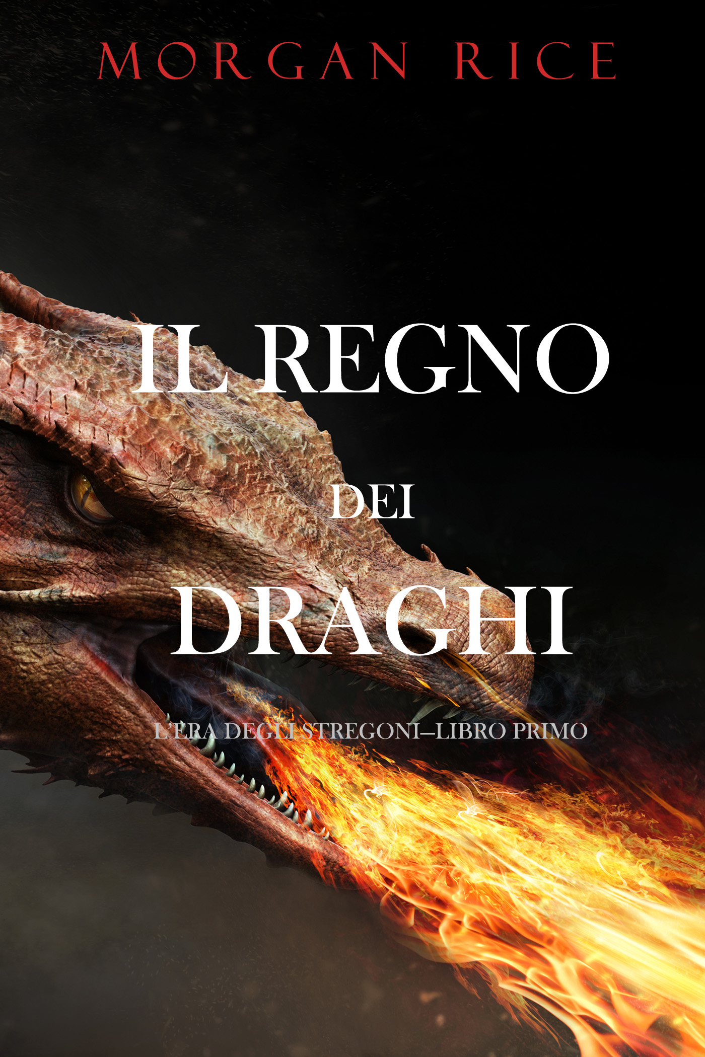 Обложка книги «Il regno dei draghi»