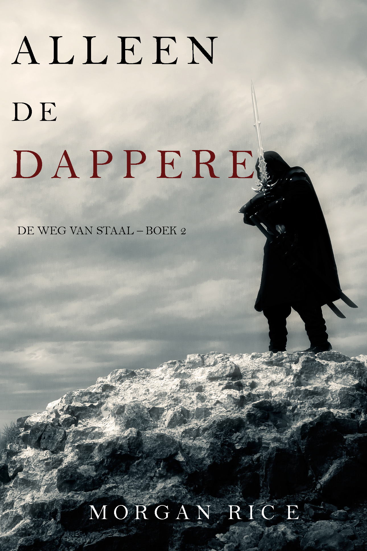 Обложка книги «Alleen de dappere»