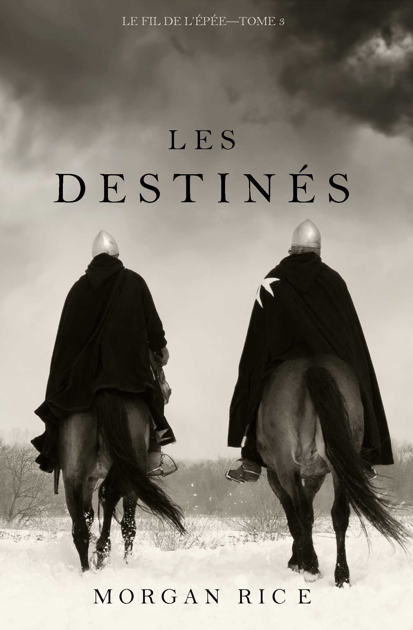 Обложка книги «Les Destinés»
