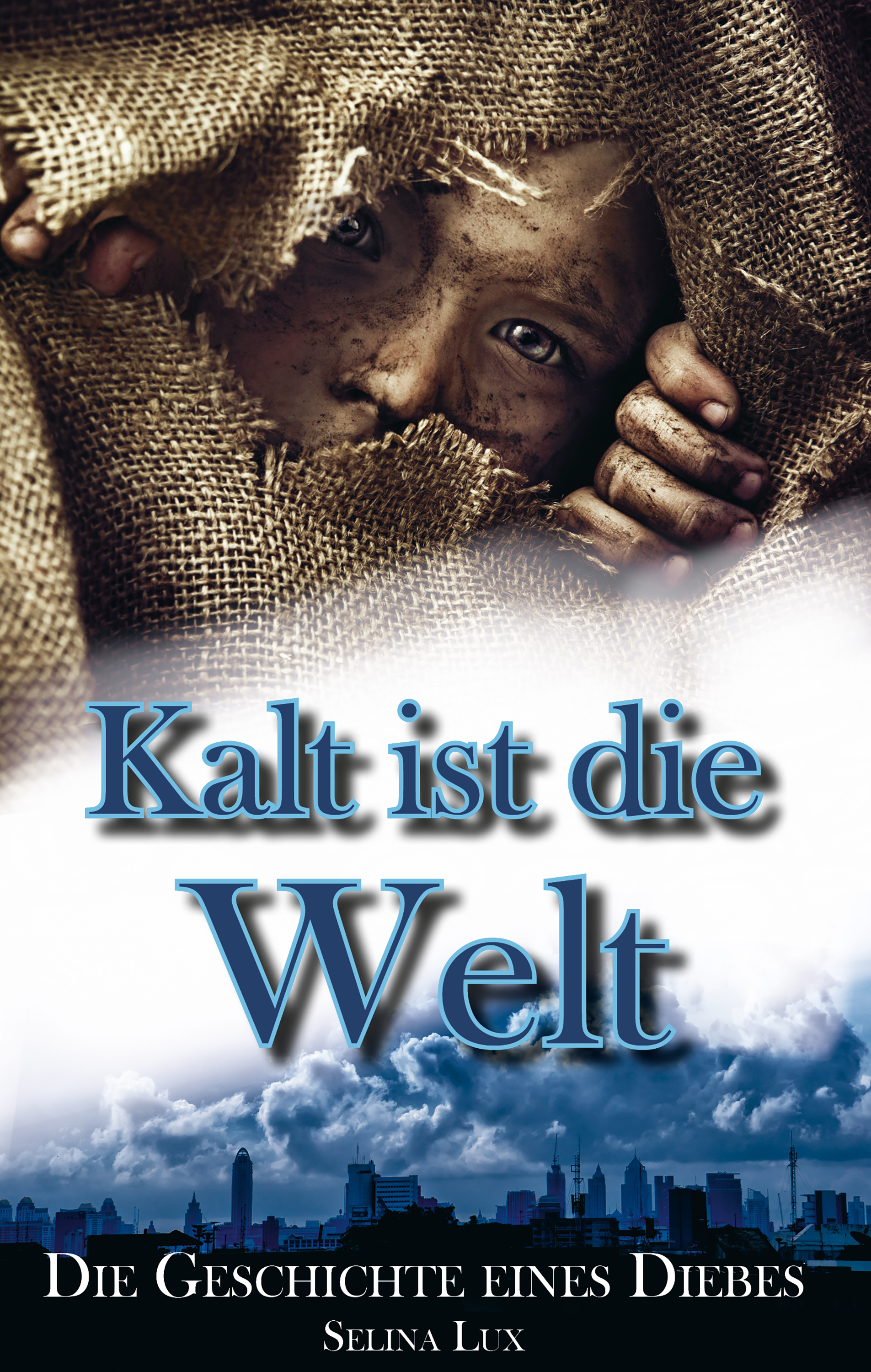 Обложка книги «Kalt ist die Welt»