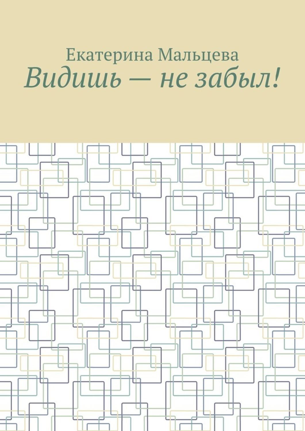 Обложка книги «Видишь – не забыл!»