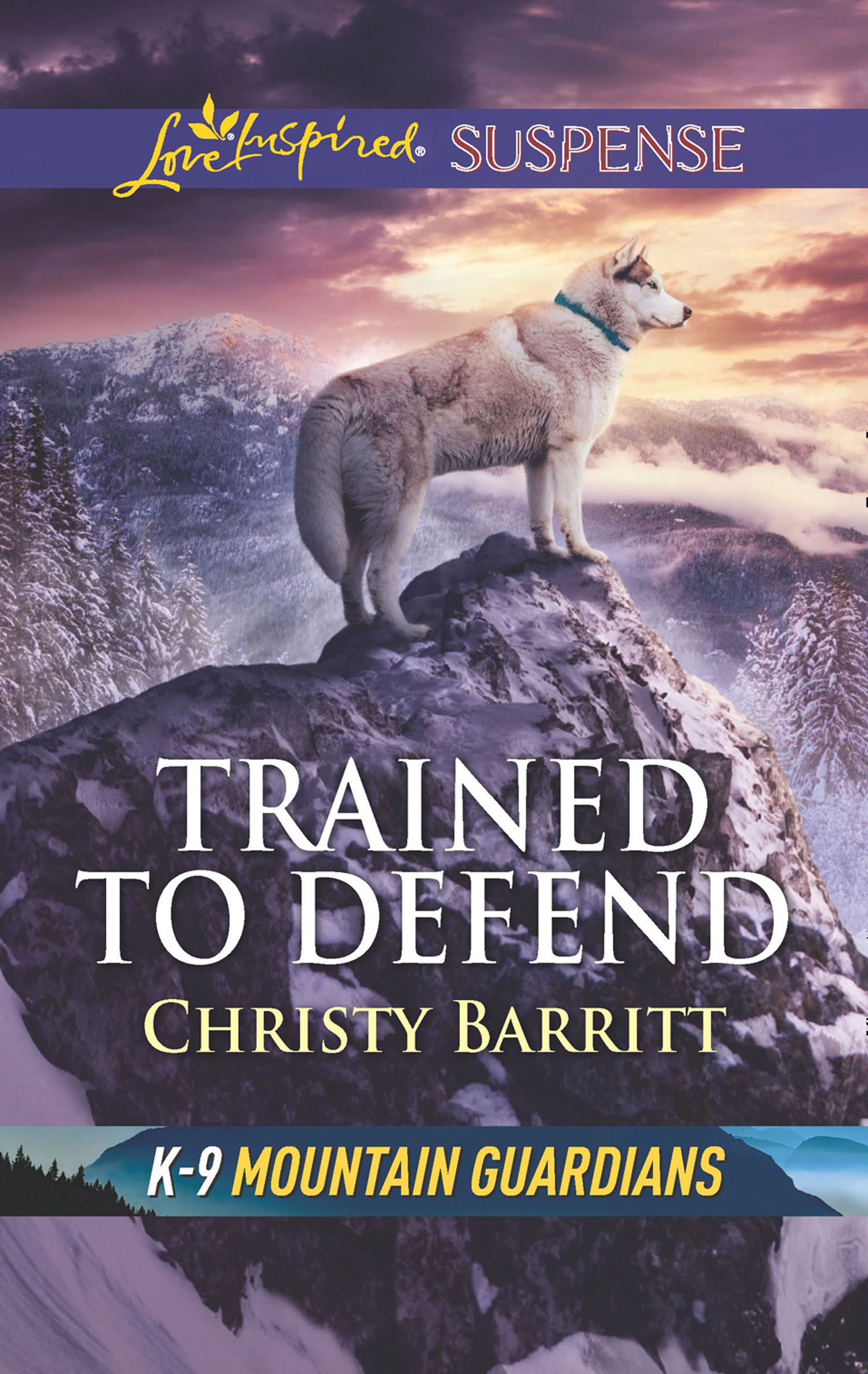 Обложка книги «Trained To Defend»