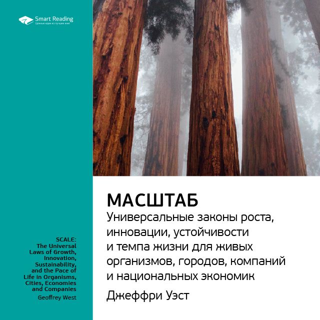 Обложка книги «Ключевые идеи книги: Масштаб: универсальные законы роста, инновации, устойчивости и темпа жизни для живых организмов, городов, компаний и национальных экономик. Джеффри Уэст»
