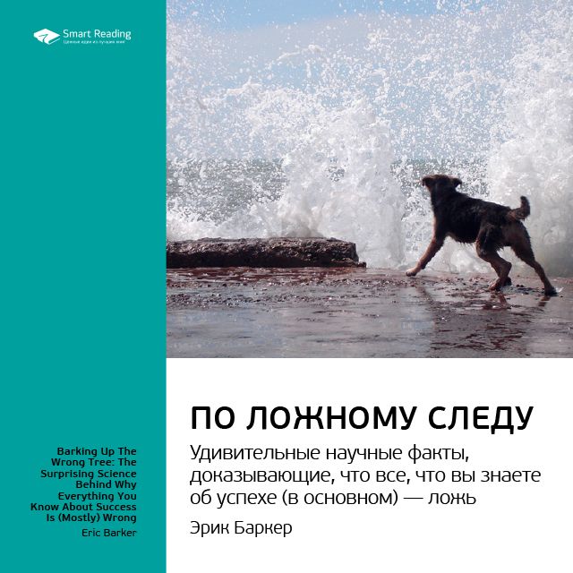 Обложка книги «Ключевые идеи книги: По ложному следу. Удивительные научные факты, доказывающие, что все, что вы знаете об успехе (в основном) – ложь. Эрик Баркер»
