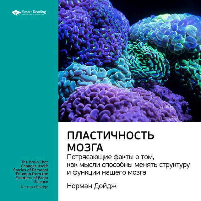 Обложка книги «Ключевые идеи книги: Пластичность мозга. Потрясающие факты о том, как мысли способны менять структуру и функции нашего мозга. Норман Дойдж»