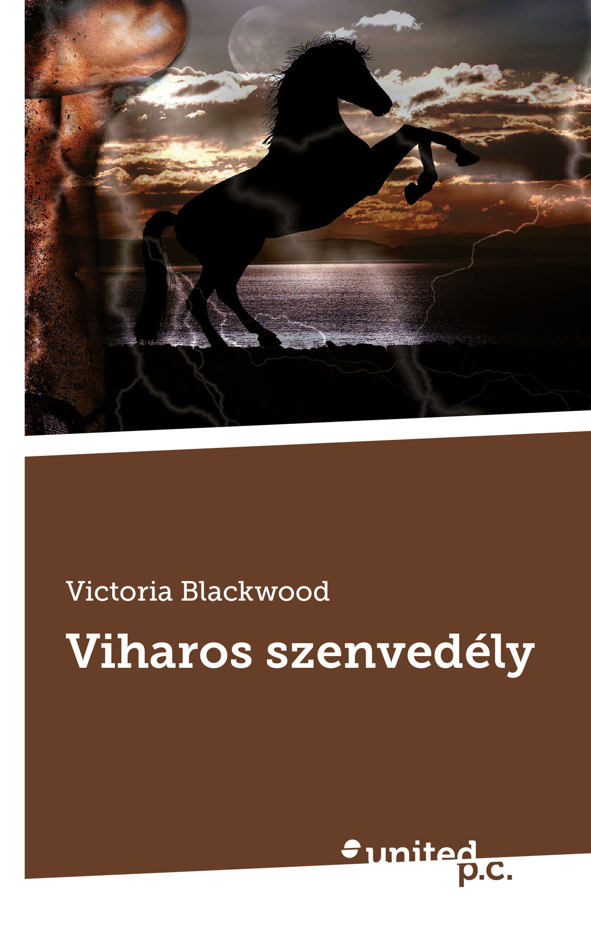 Обложка книги «Viharos szenvedély»