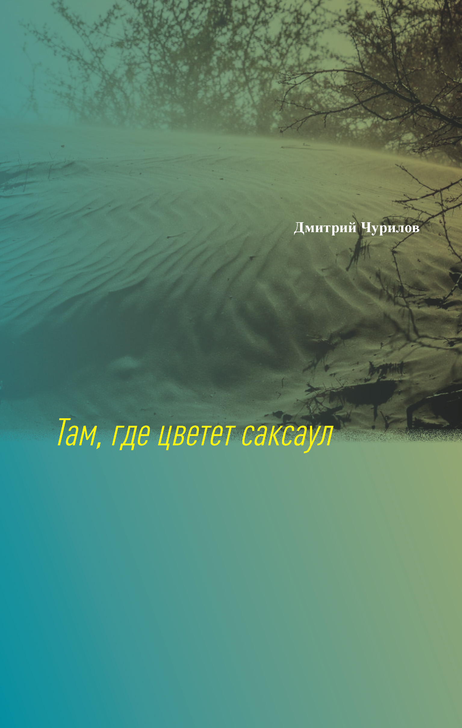 Обложка книги «Там, где цветет саксаул»