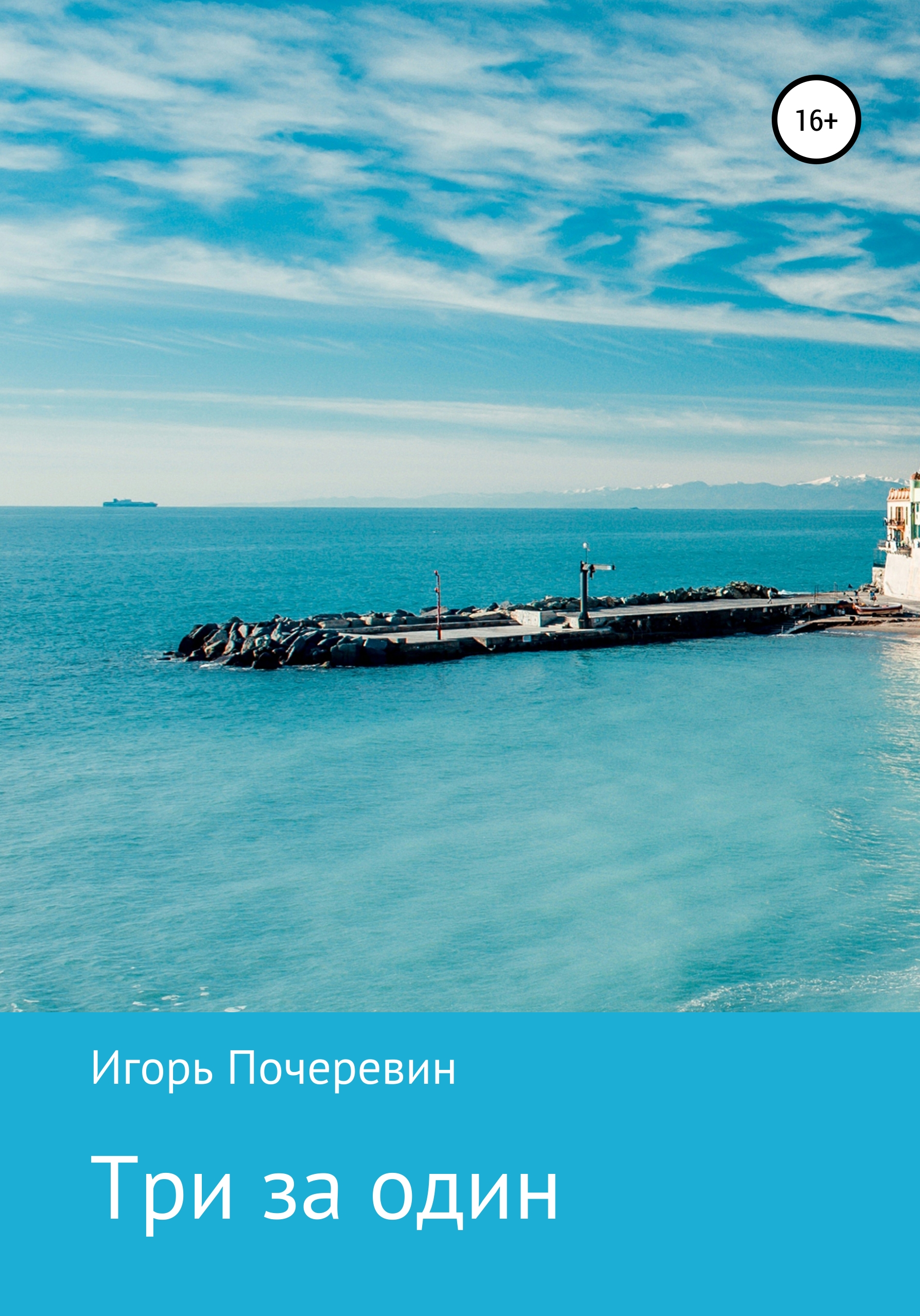 Обложка книги «Три за один»